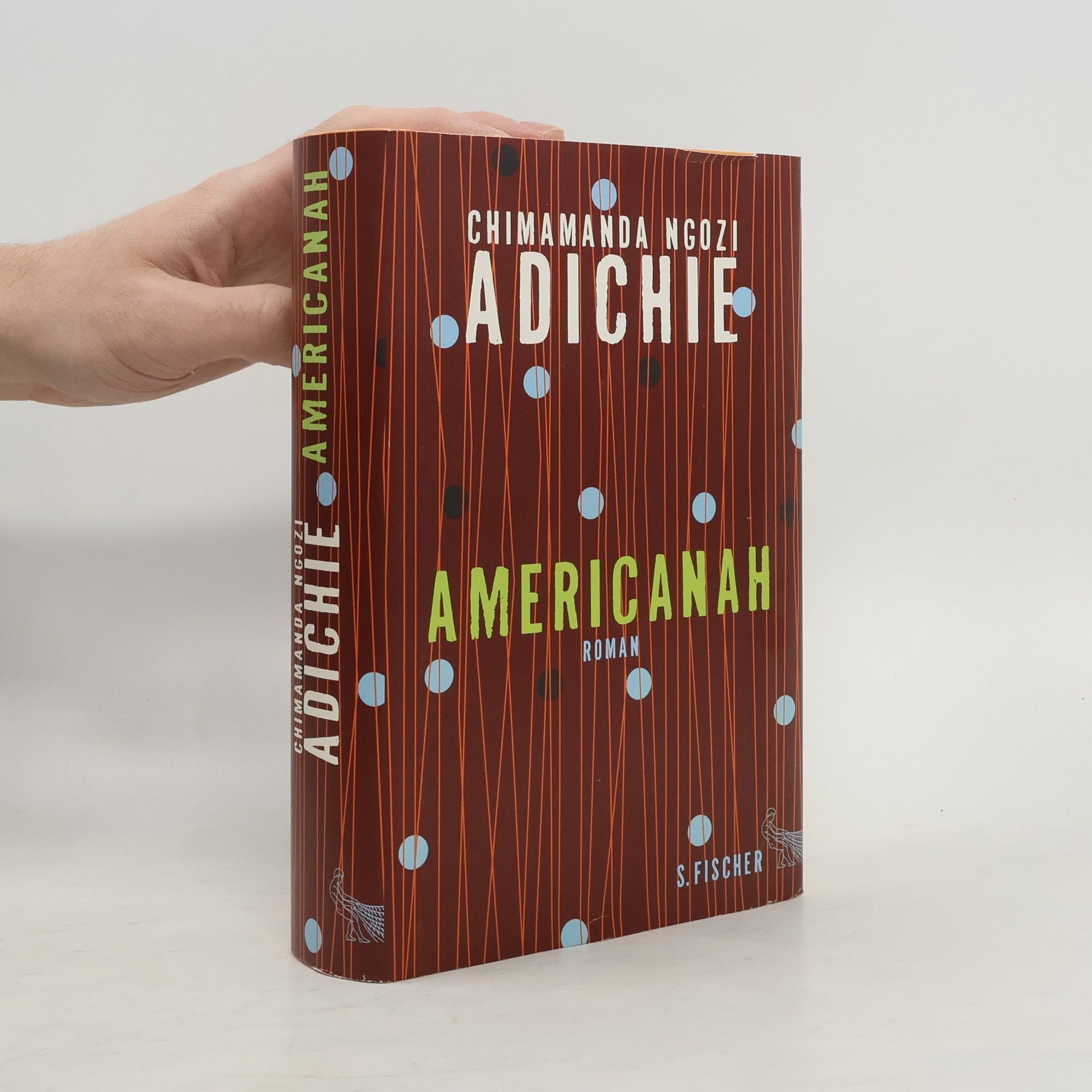 Chimamanda Ngozi Adichie Americanah