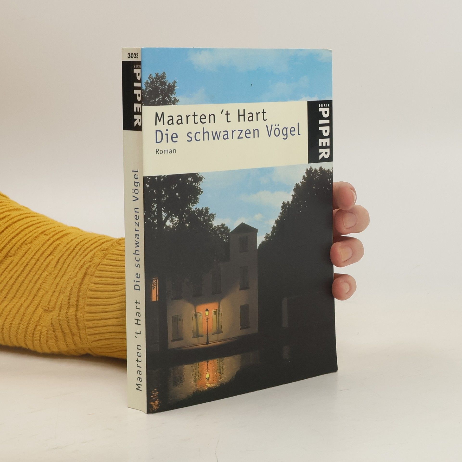 Die schwarzen Vögel