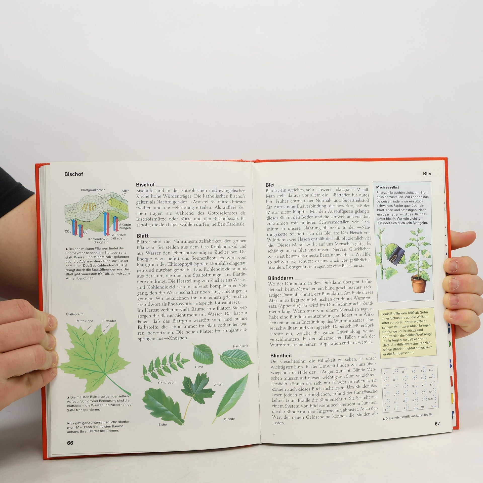 Kolektiv autorů Der Kinder-Brockhaus 1