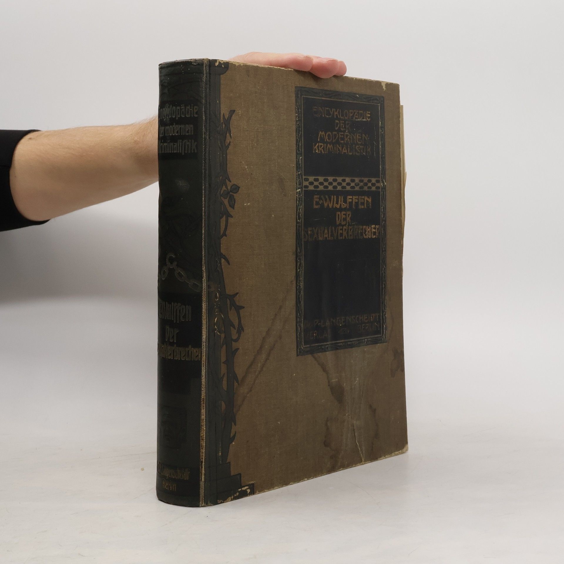 Der Sexualverbrecher