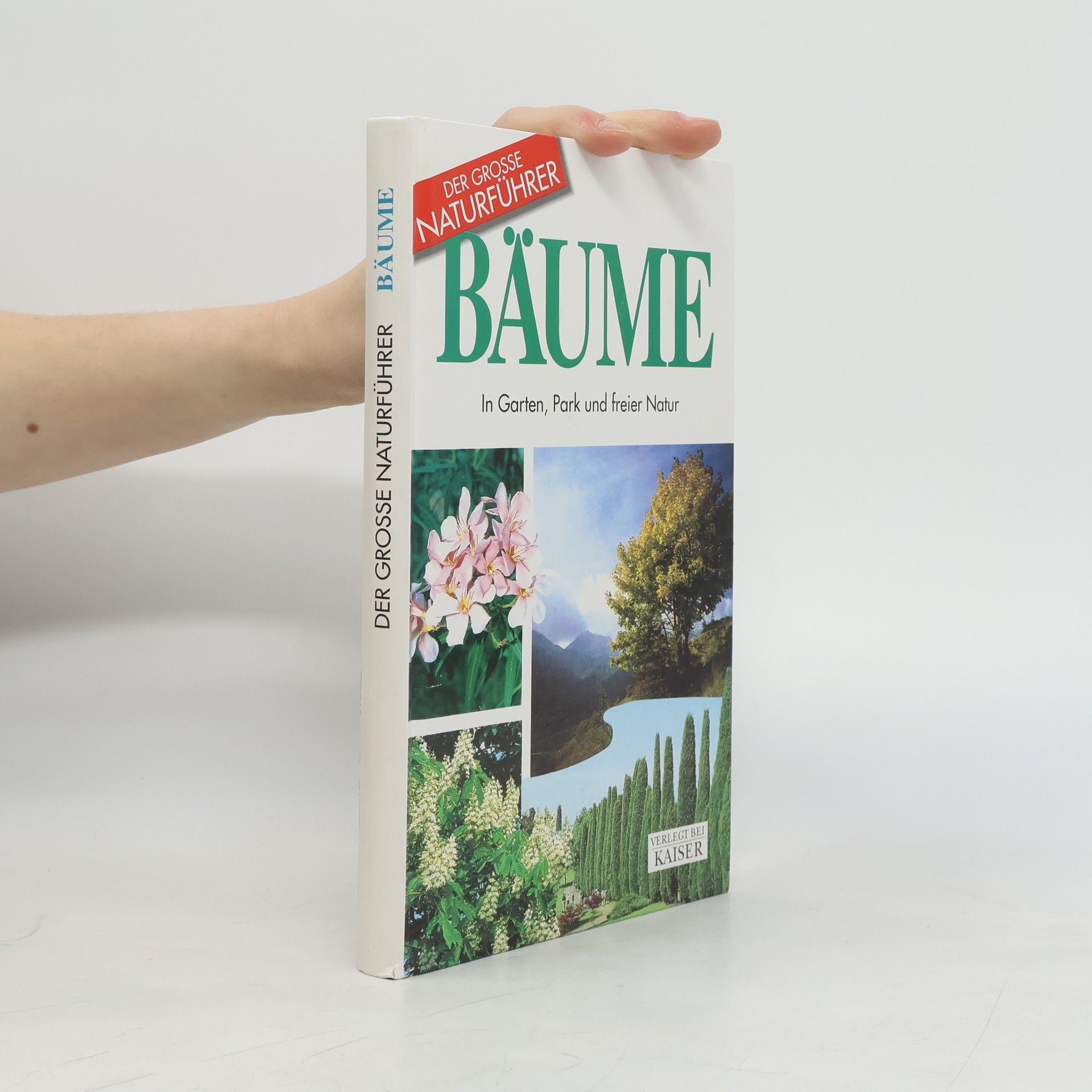 Bäume. In Garten, Park und freier Natur