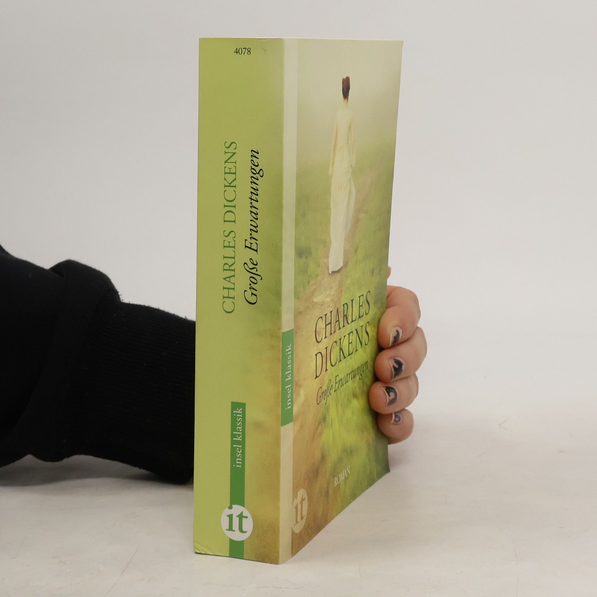 Charles Dickens Grosse Erwartungen