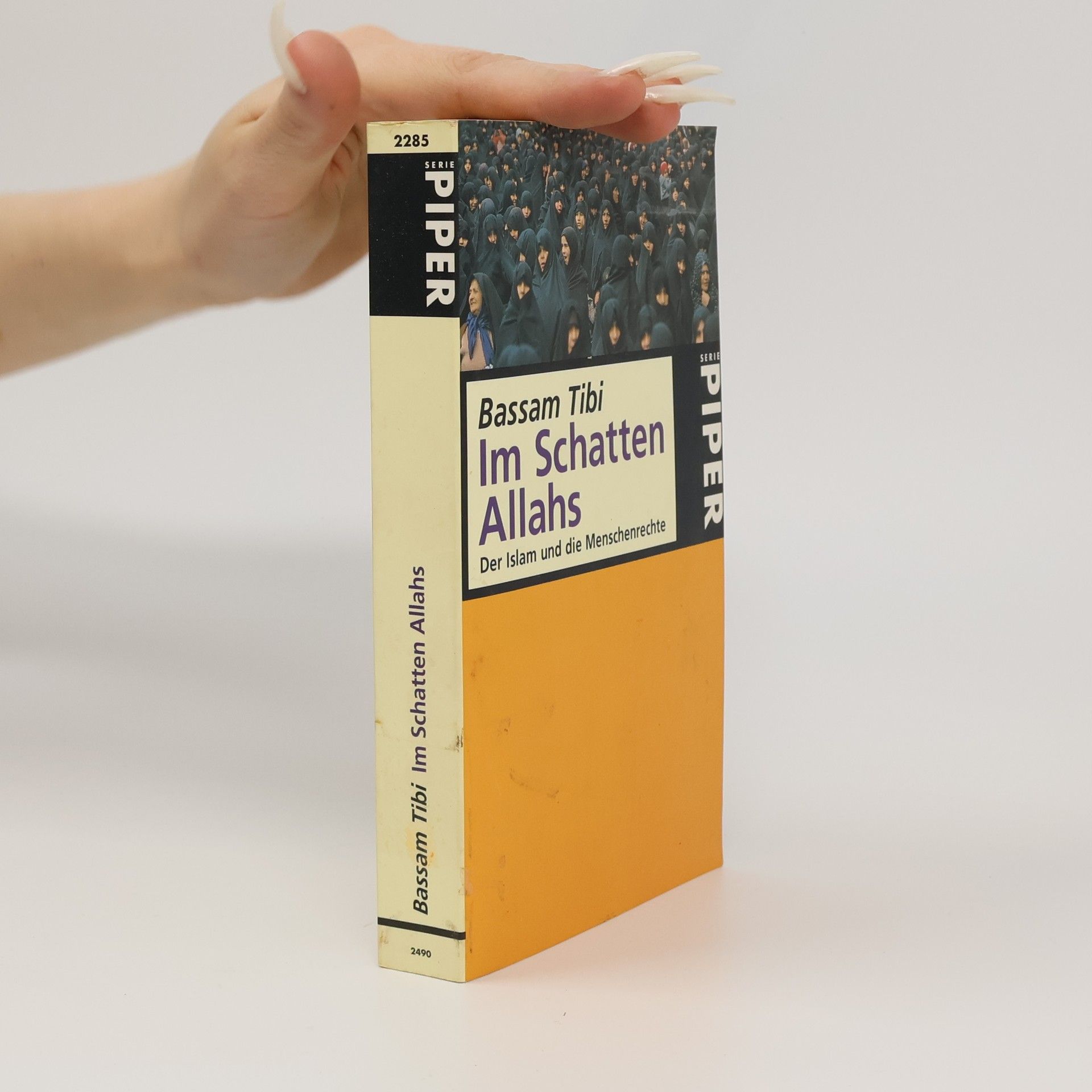 Bassām Ṭībī Serie Piper: Im Schatten Allahs