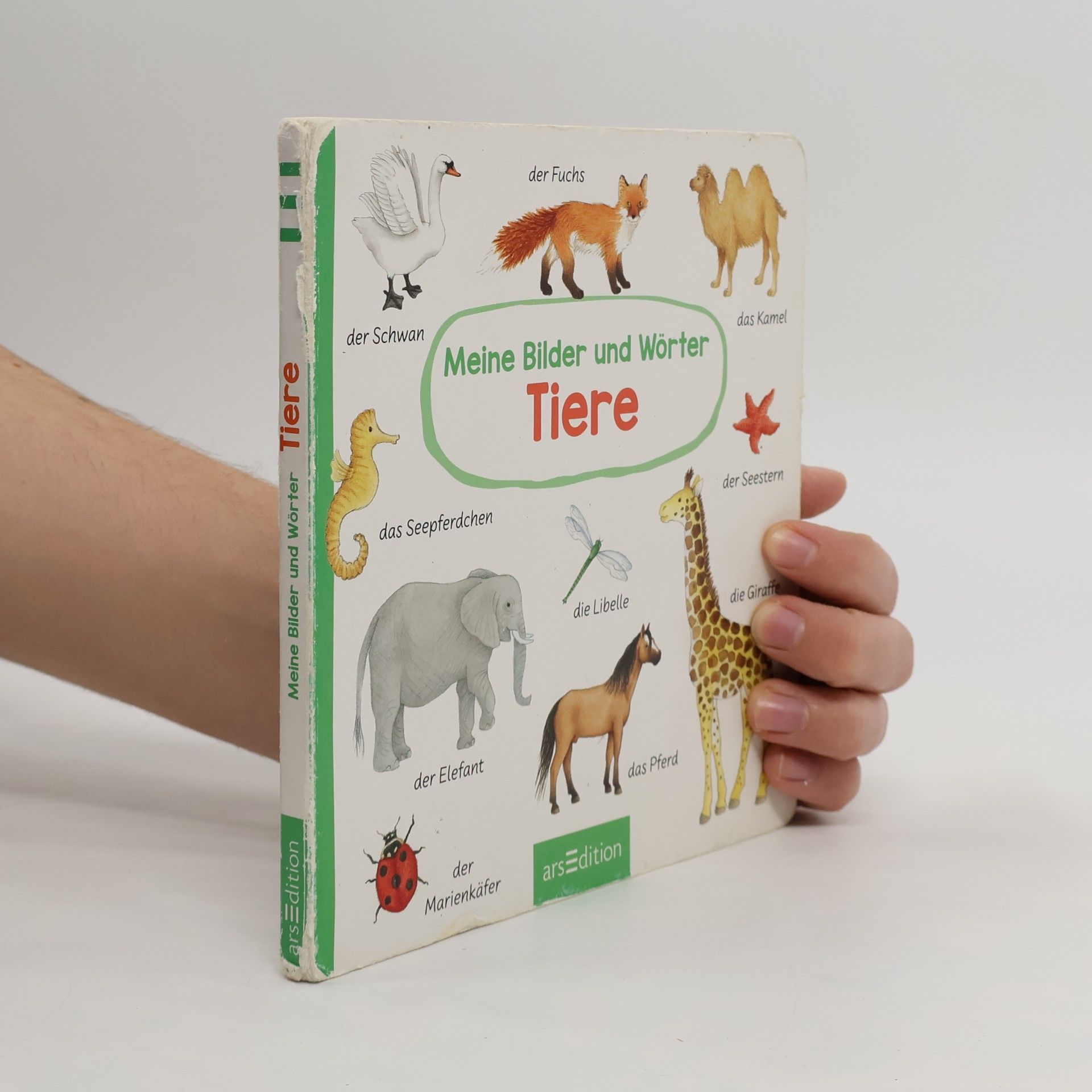 Barbara Jelenkovich Meine Bilder und Wörter - Tiere