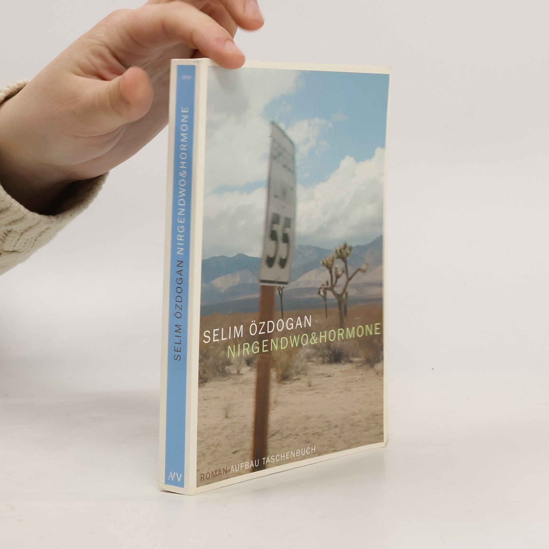 Selim Özdogan Nirgendwo & Hormone