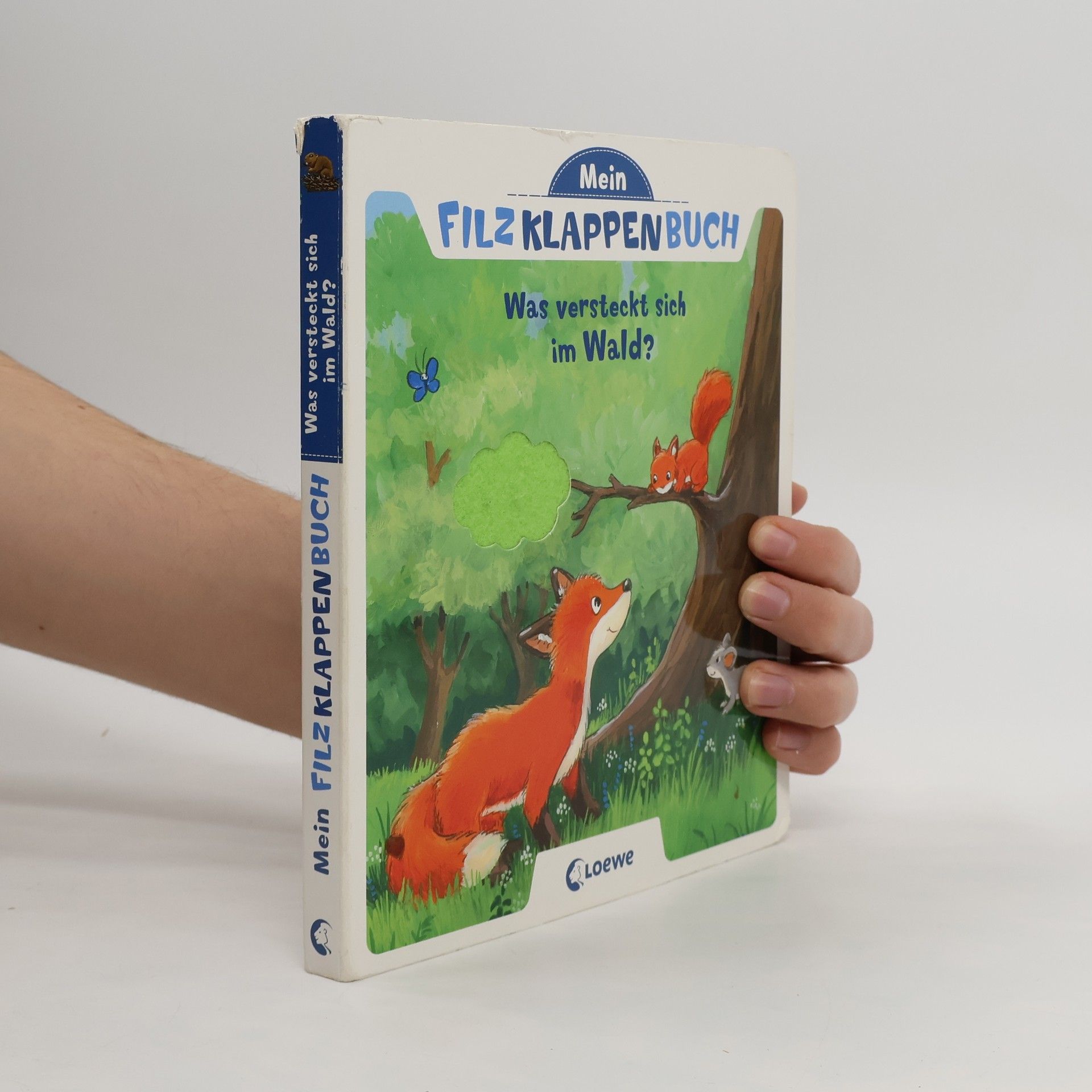 Antje Flad Mein Filzklappenbuch - Was versteckt sich im Wald?