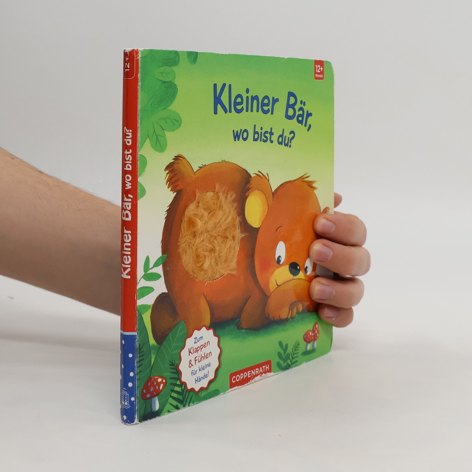 Collectif d'auteurs Mein erstes Guckloch-Fühlbuch: Kleiner Bär, wo bist du?