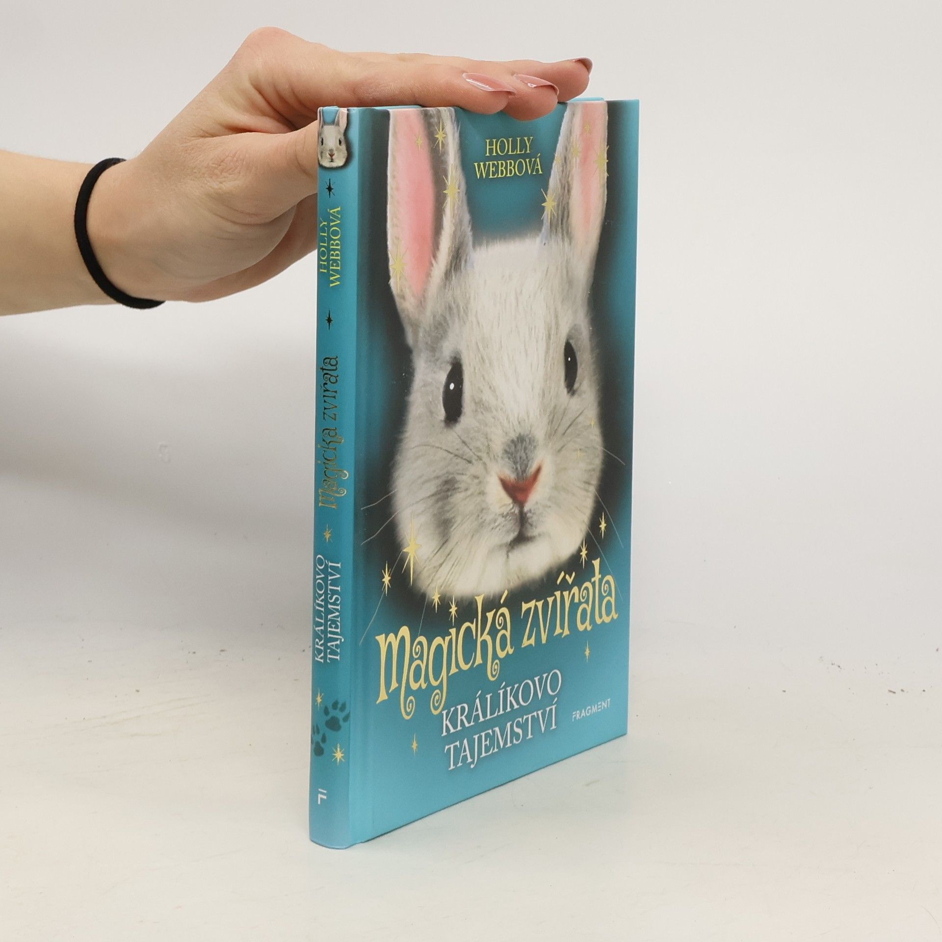 Holly Webb Králíkovo tajemství