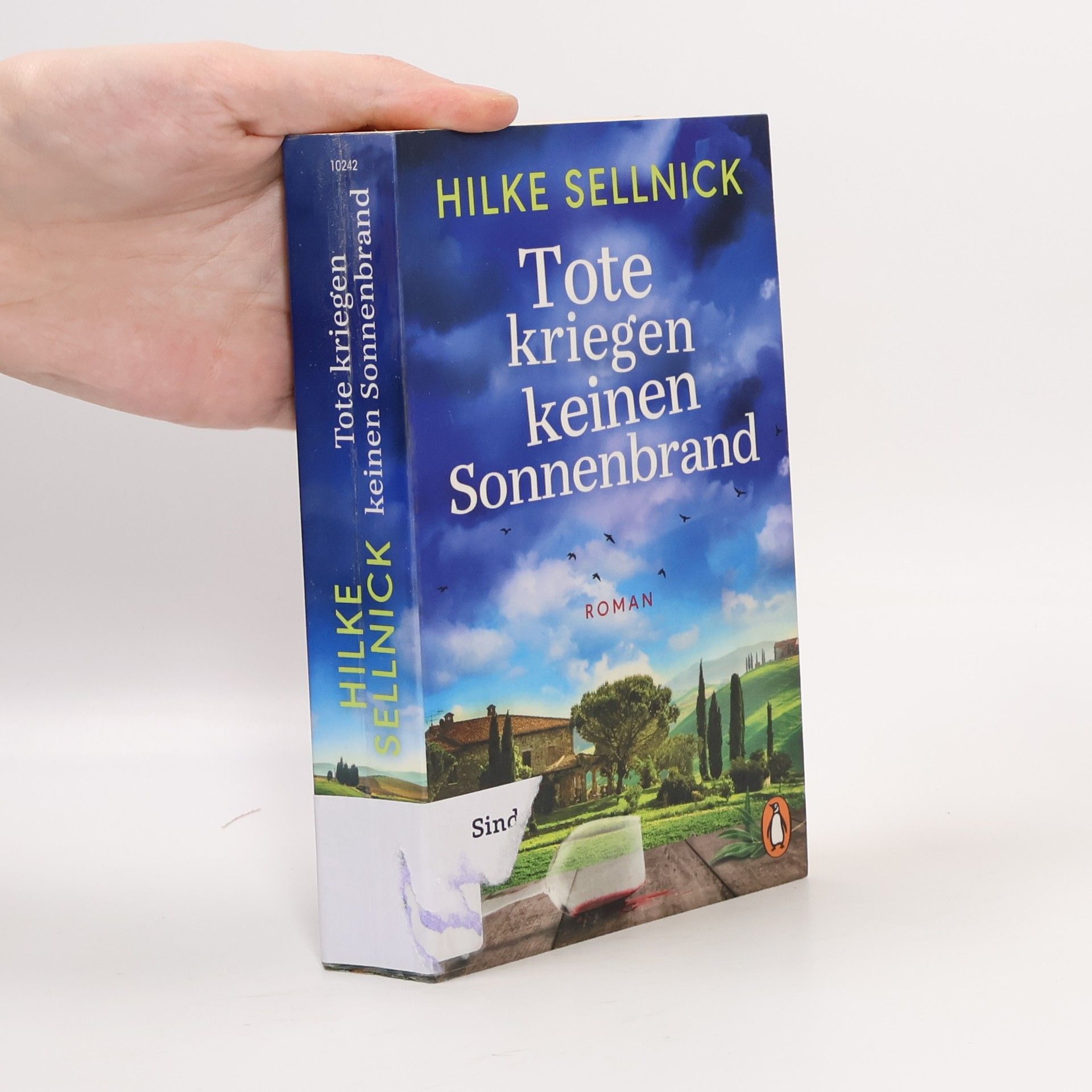 Hilke Sellnick Tote kriegen keinen Sonnenbrand