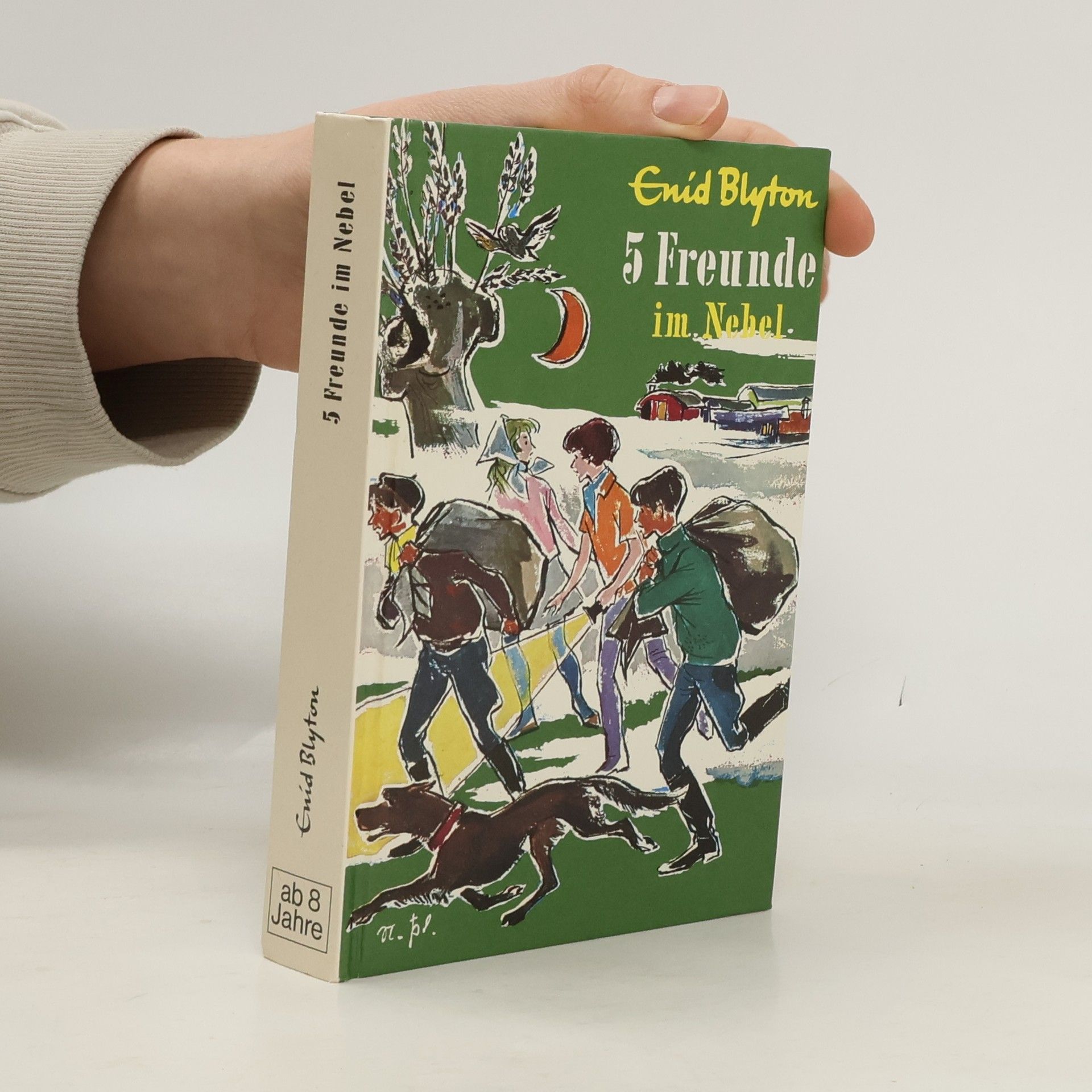 Enid Blyton 5 Freunde im Nebel