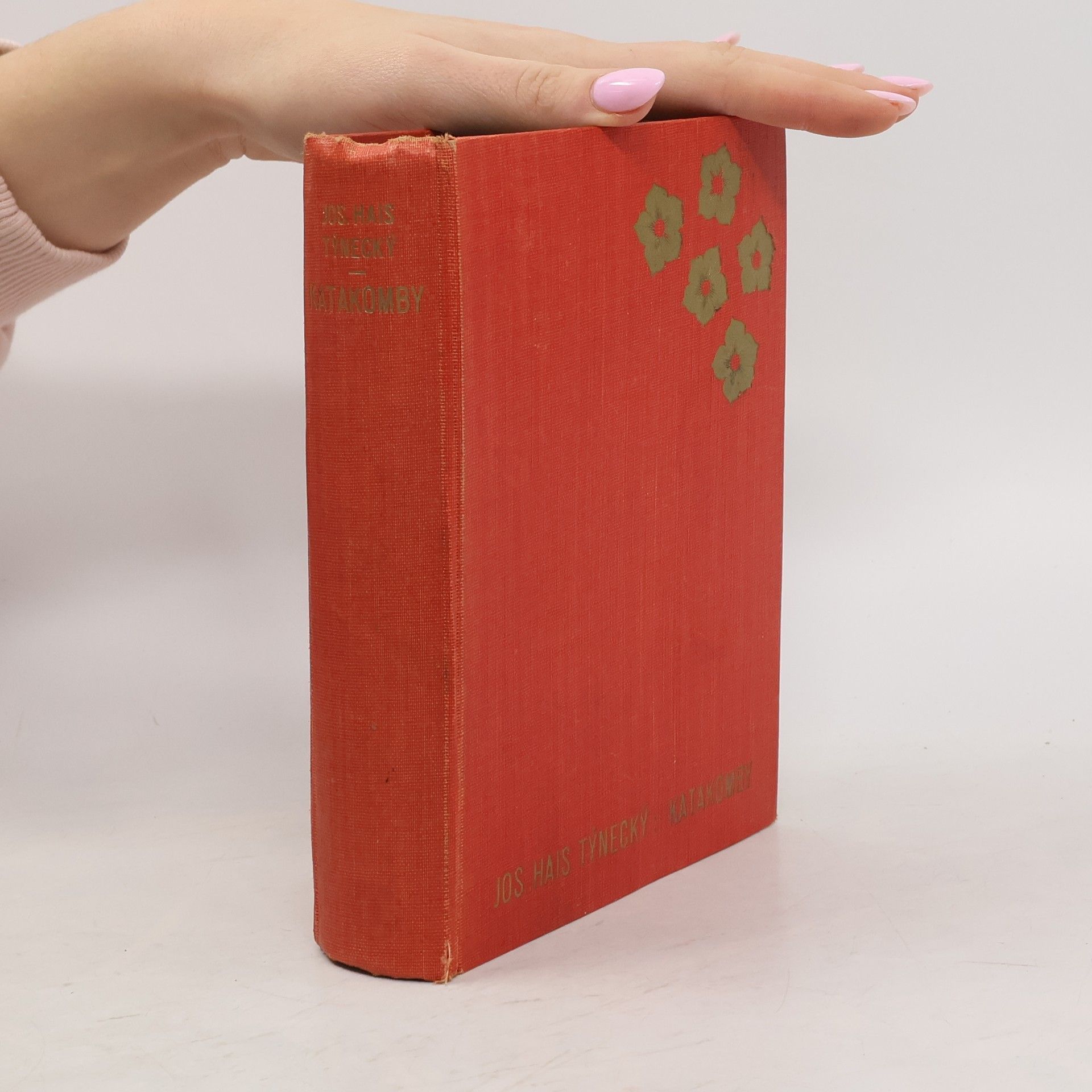 Josef Hais Týnecký Katakomby