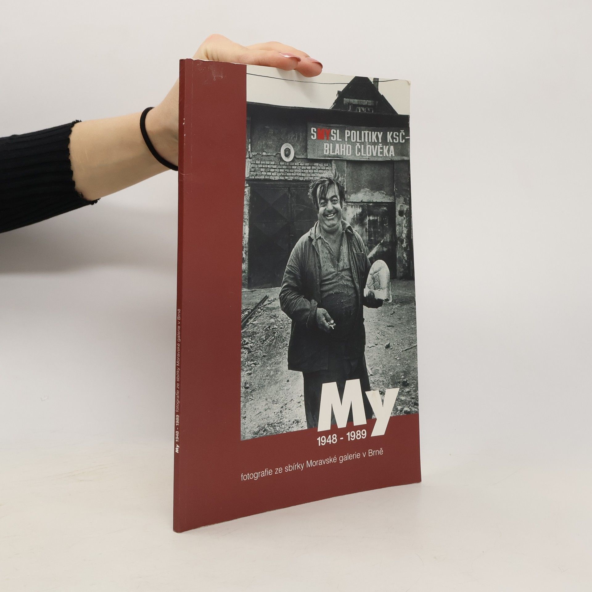 Kolektív autorov My 1948-1989 : fotografie ze sbírky Moravské galerie v Brně