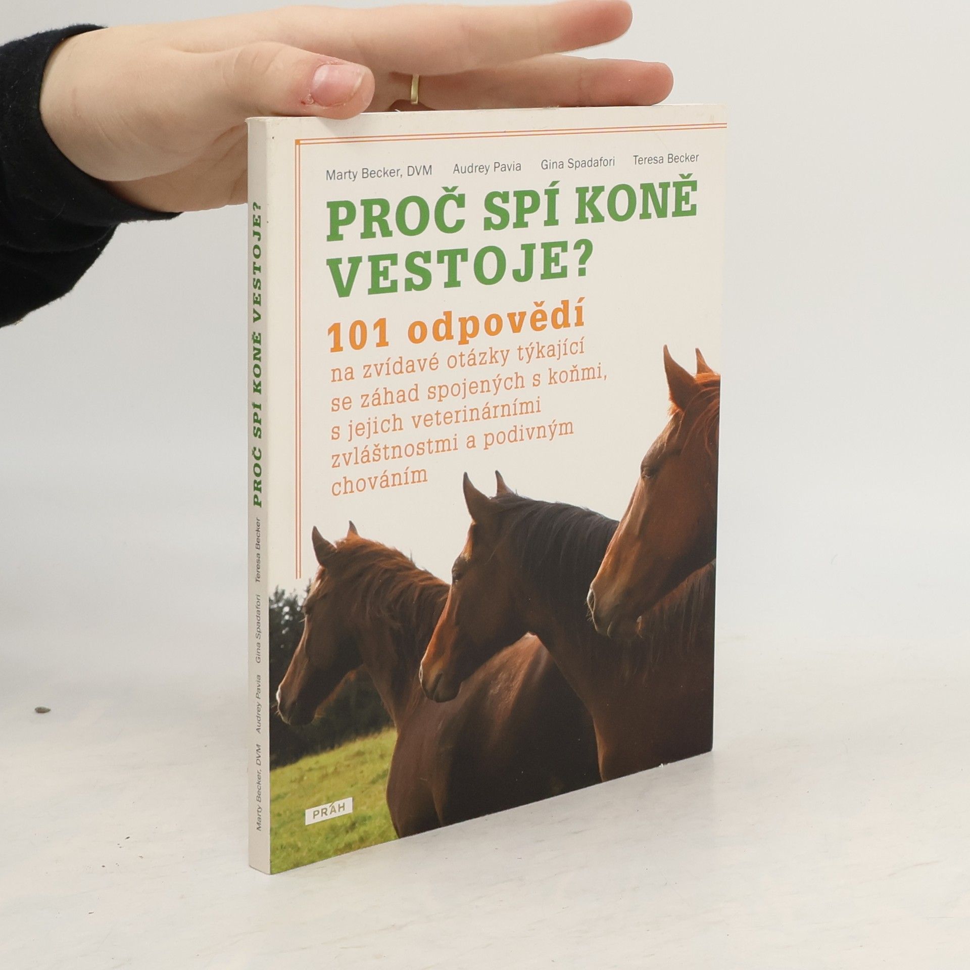 Marty Becker Proč spí koně vestoje?