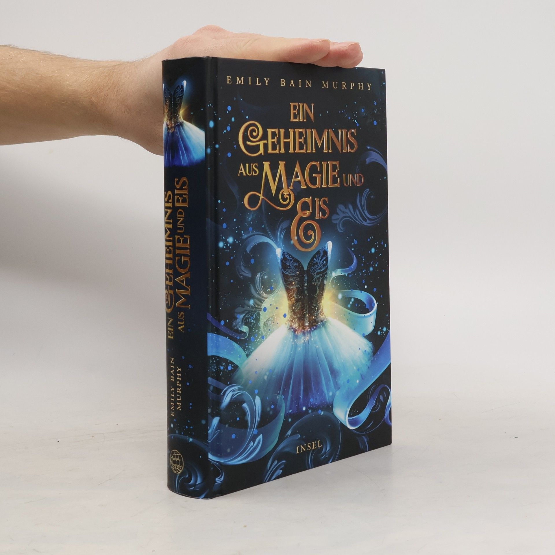 Emily Bain Murphy Ein Geheimnis aus Magie und Eis