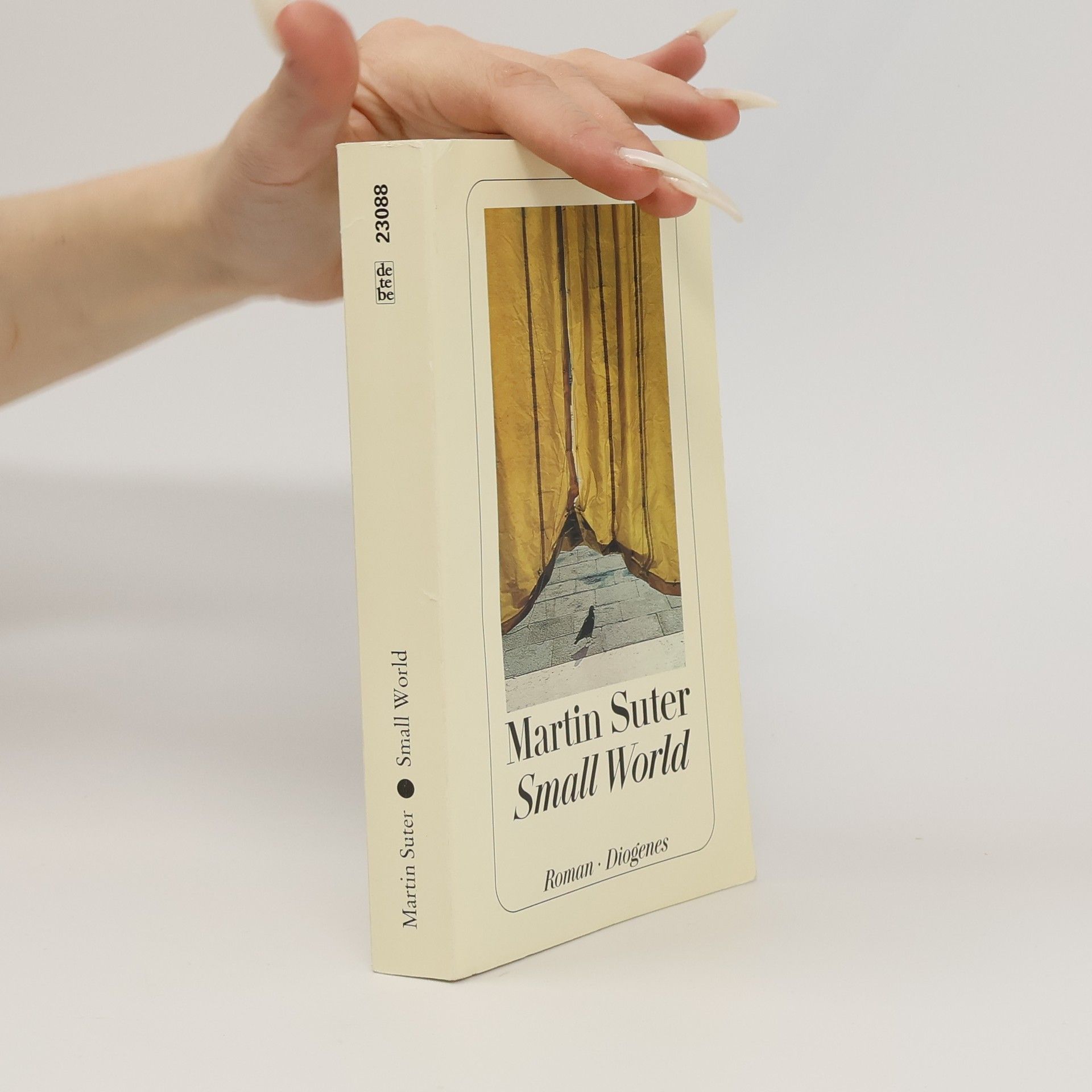 Martin Suter Small World