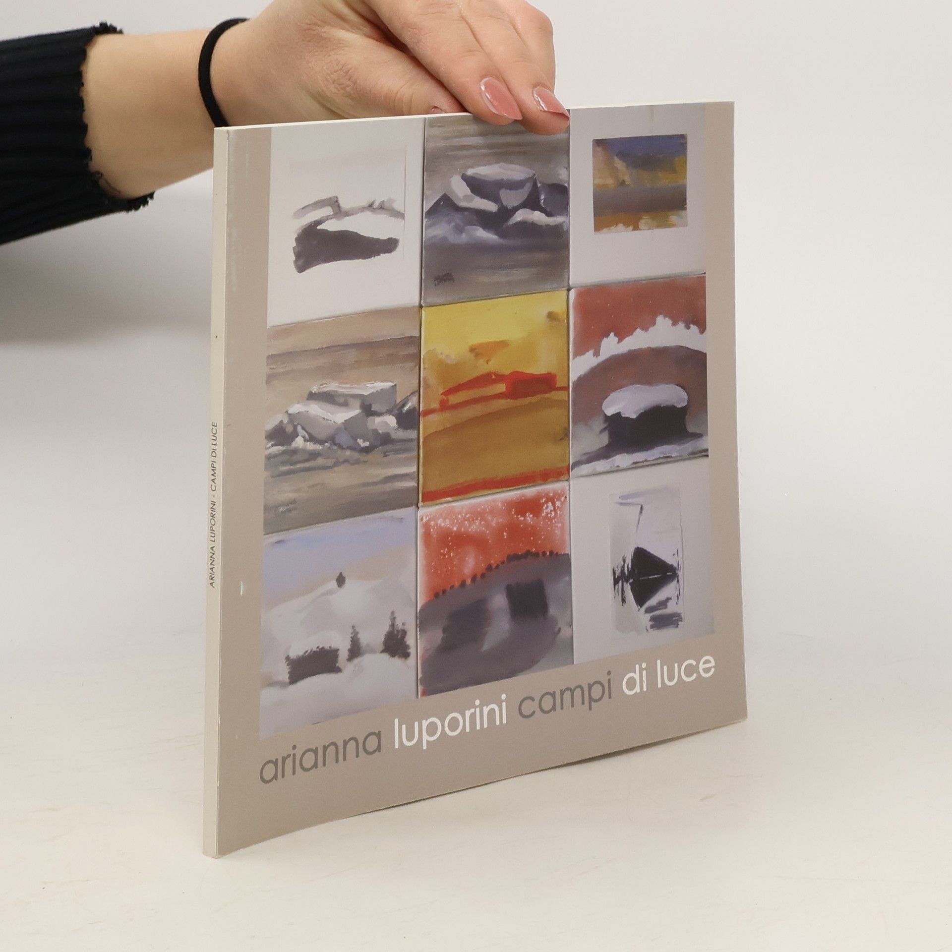 Arianna Luporini Campi di luce