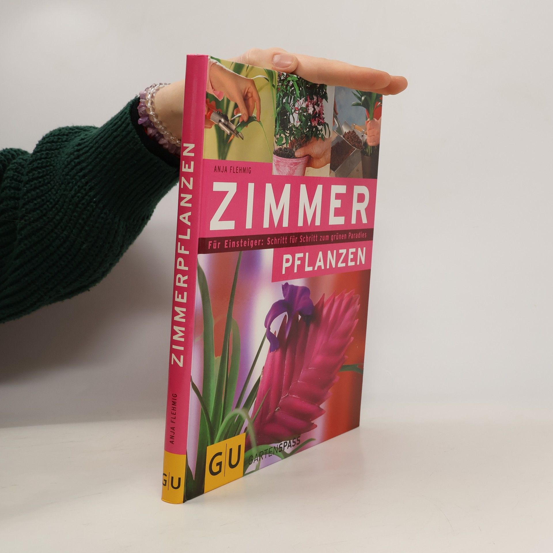 Anja Flehmig Zimmerpflanzen