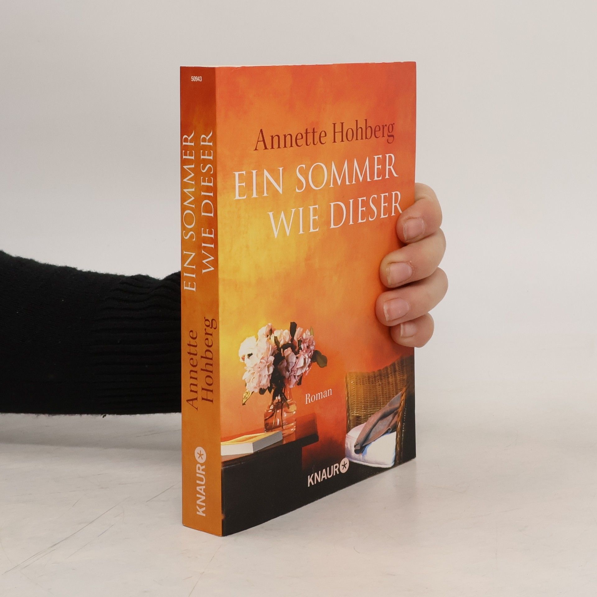 Annette Hohberg Ein Sommer wie dieser