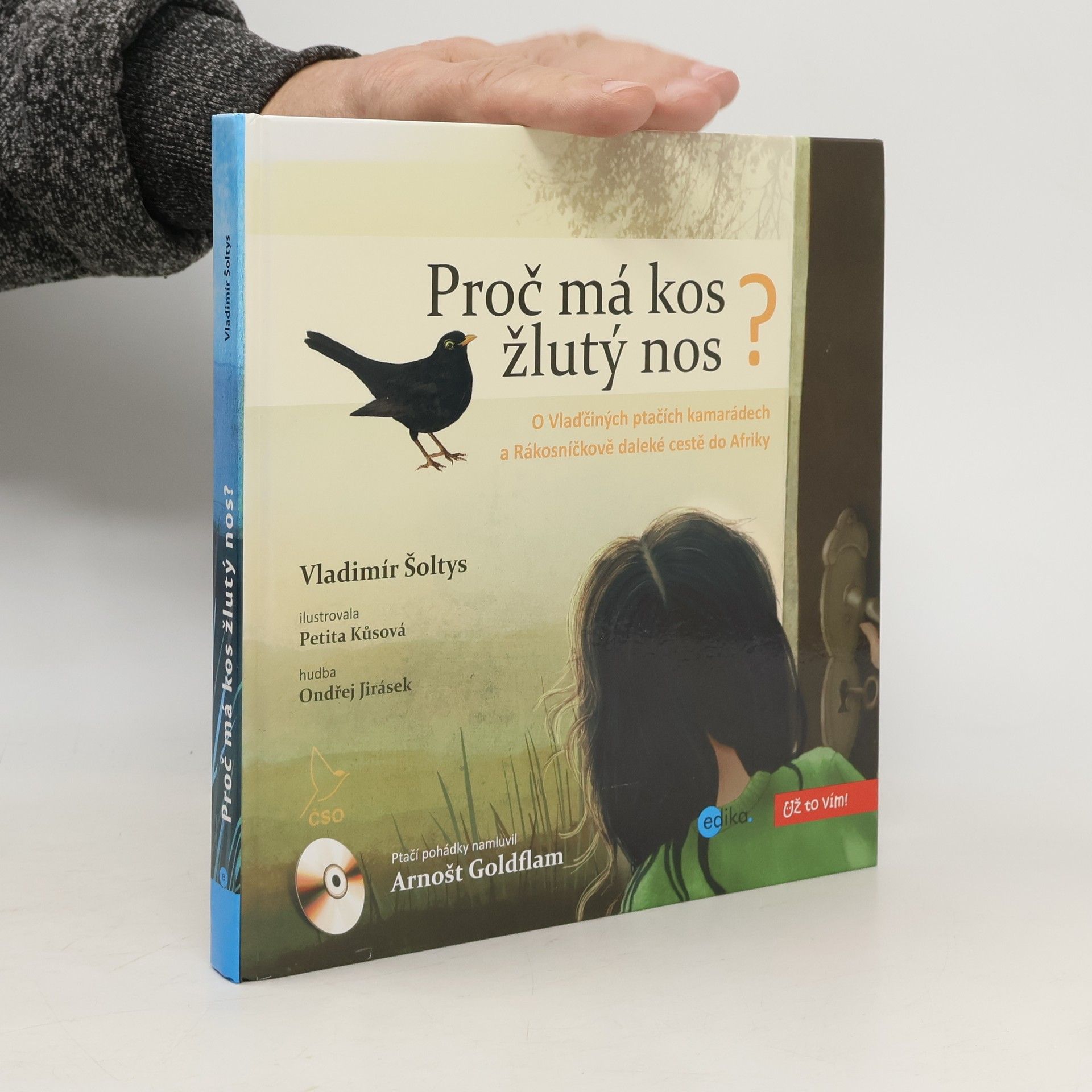 Proč má kos žlutý nos?