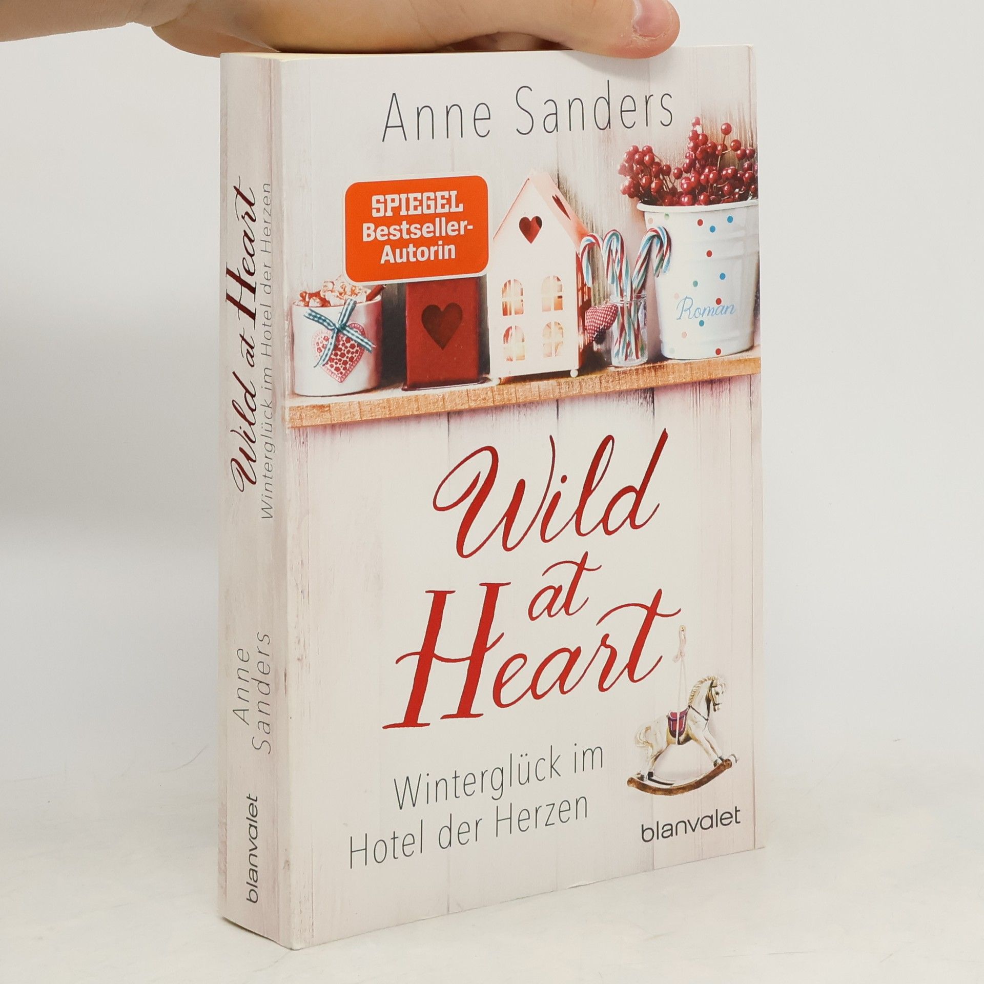 Anne Sanders Wild at heart - Winterglück im Hotel der Herzen
