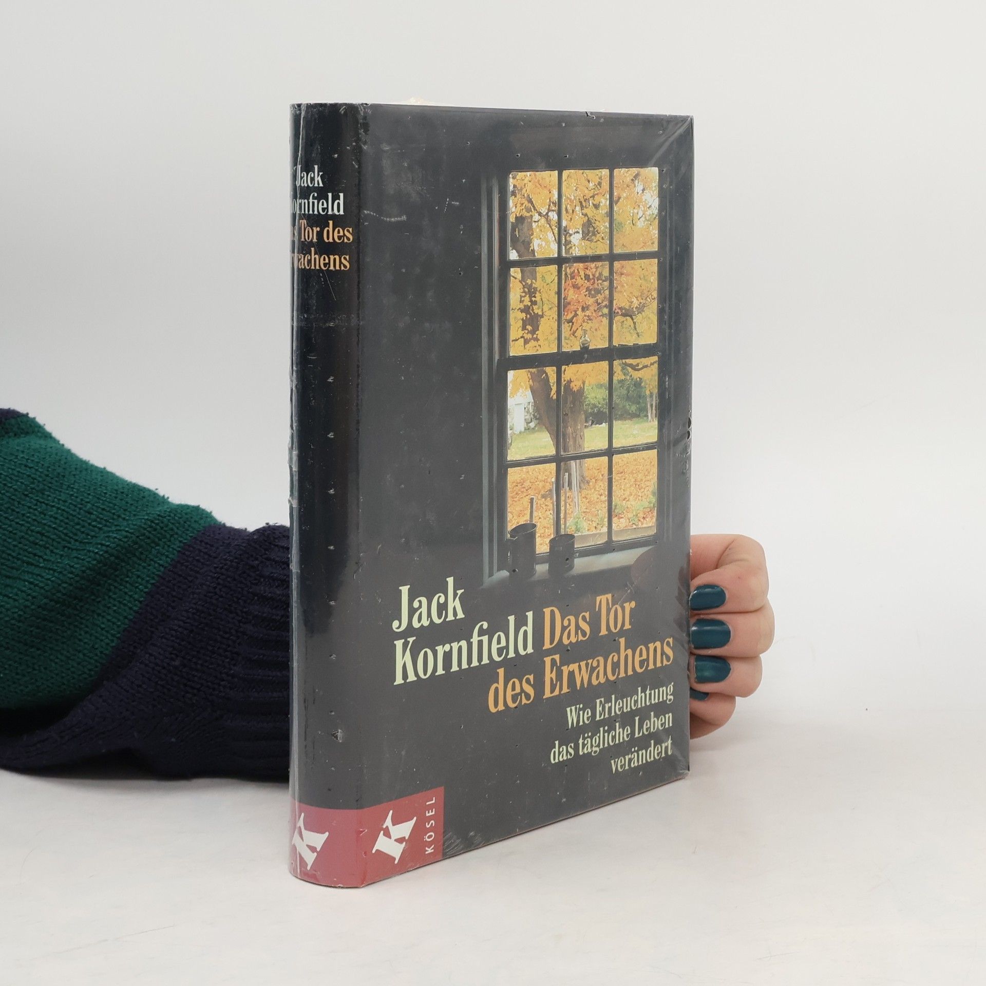 Jack Kornfield Das Tor des Erwachens