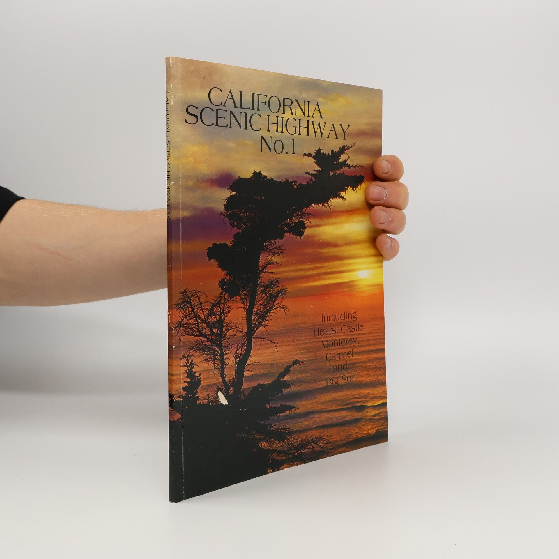 Penelope P. Massey California Scenic Highway 1. Hearst Castle, Monterey, Carmel, Big Sur
