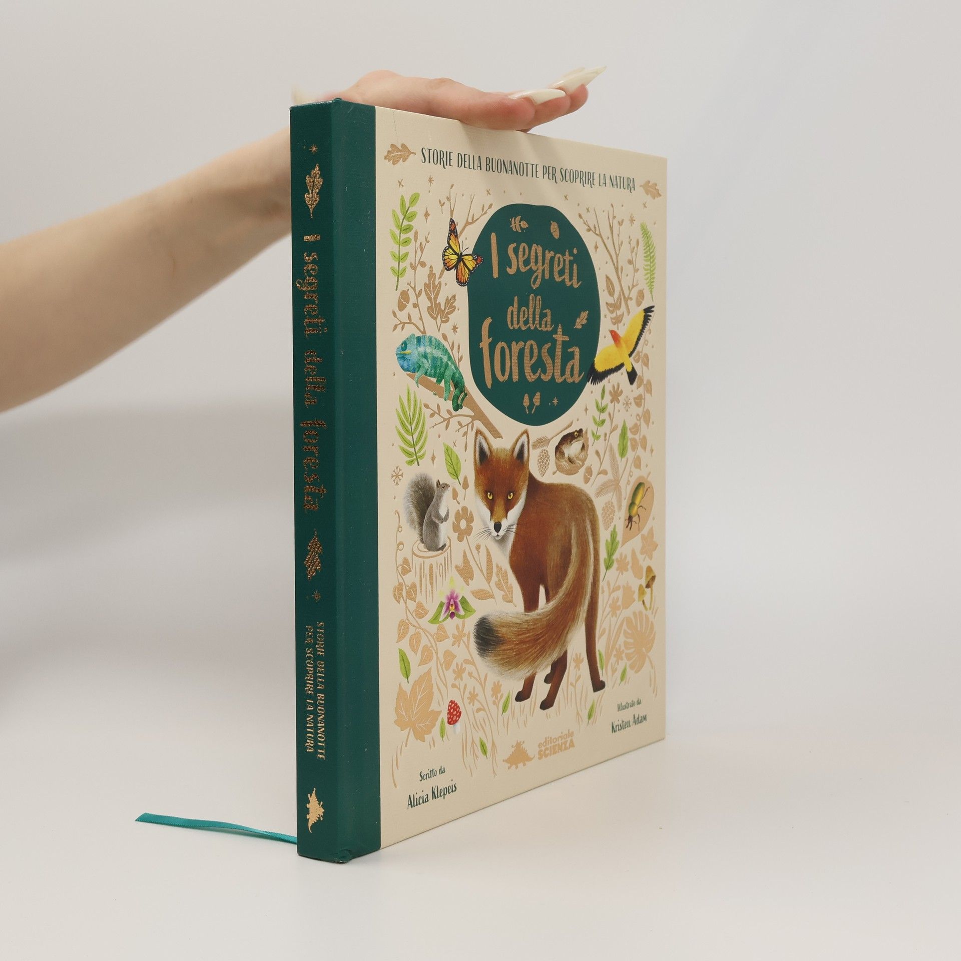 Alicia Klepeis I segreti della foresta. Storie della buonanotte per scoprire la natura. Ediz. a colori