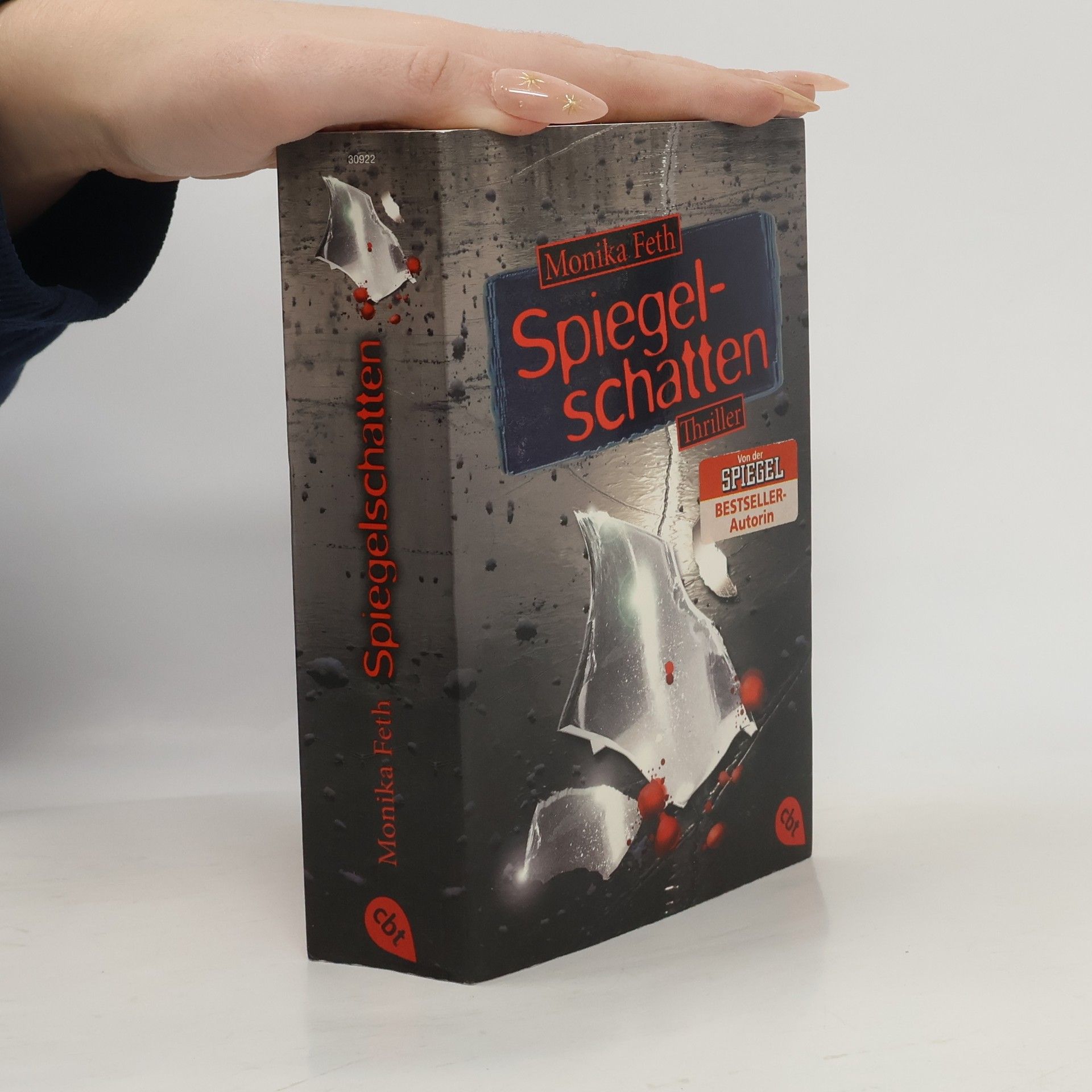 Monika Feth Spiegelschatten