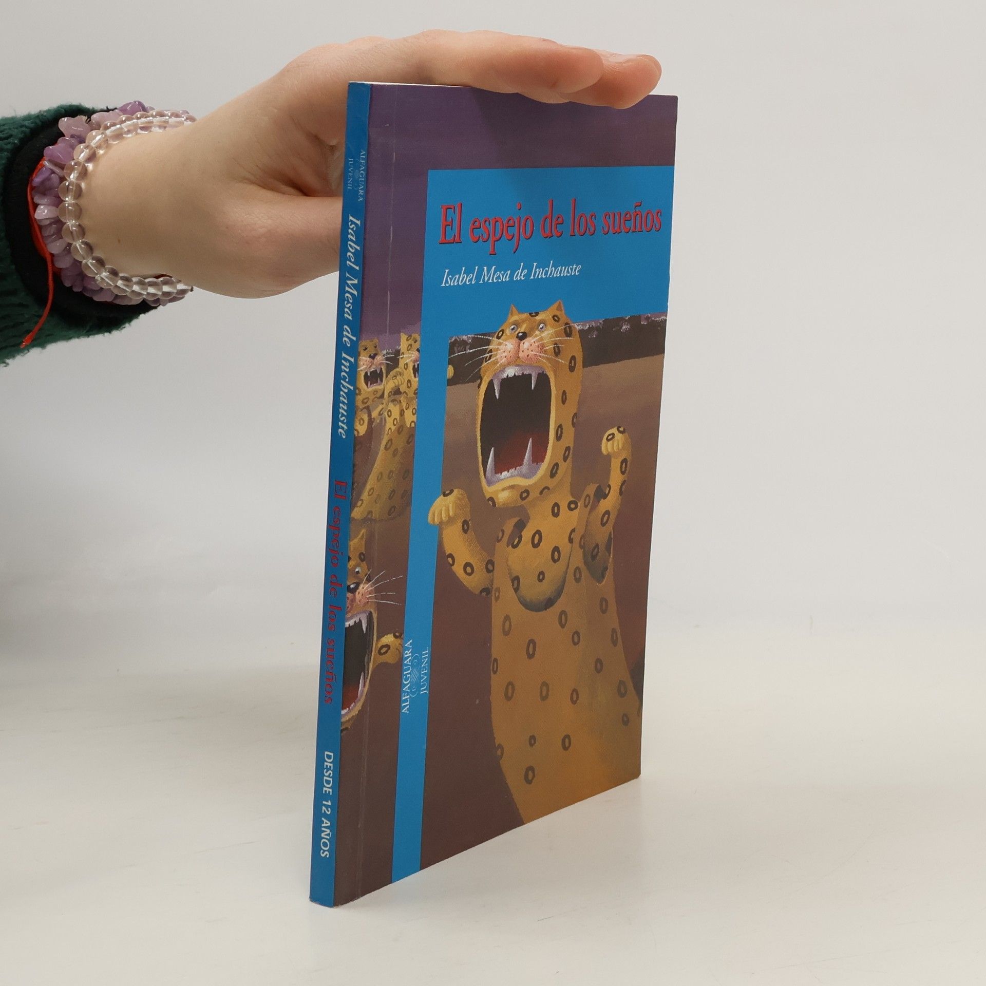 El espejo de los sueños