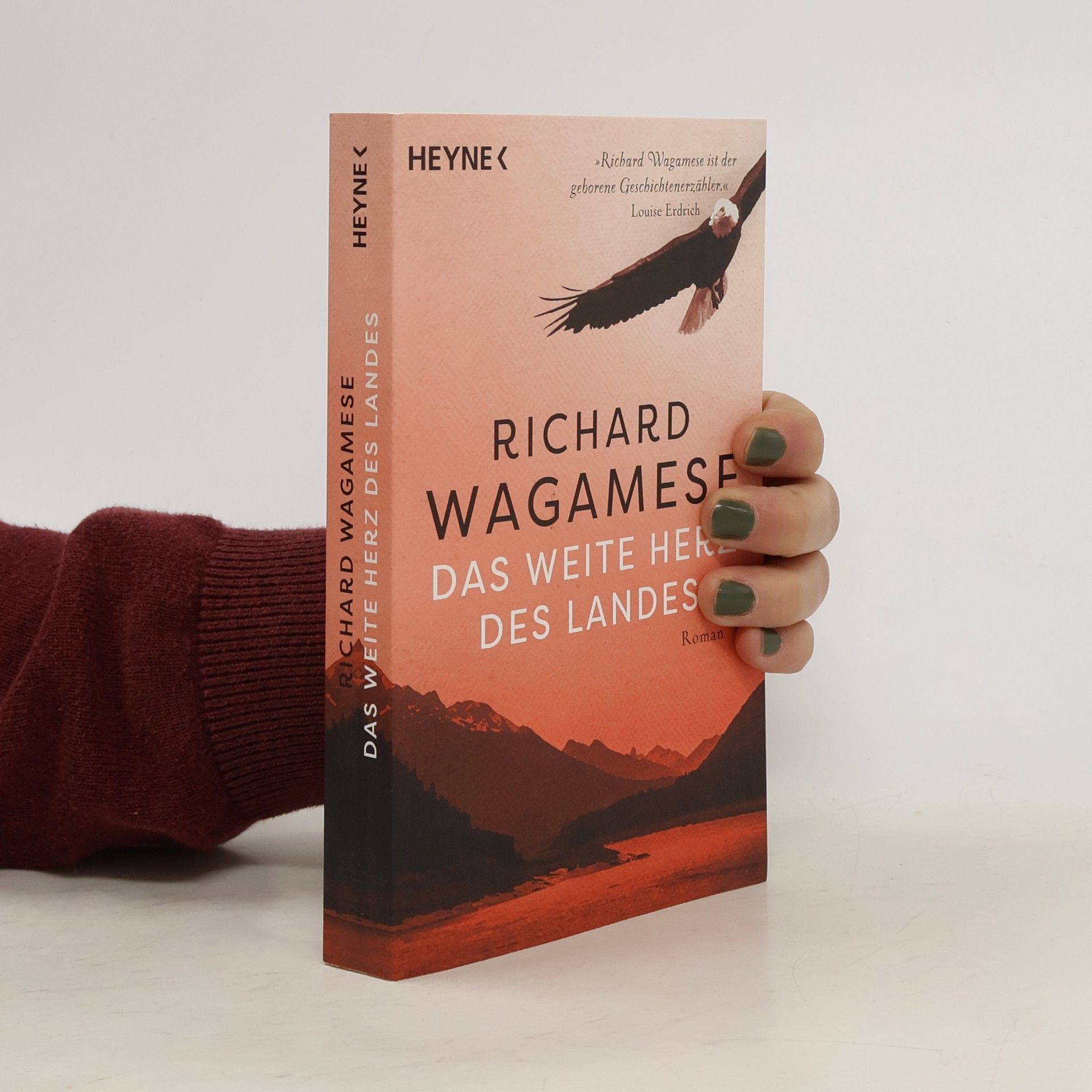 Richard Wagamese Das weite Herz des Landes