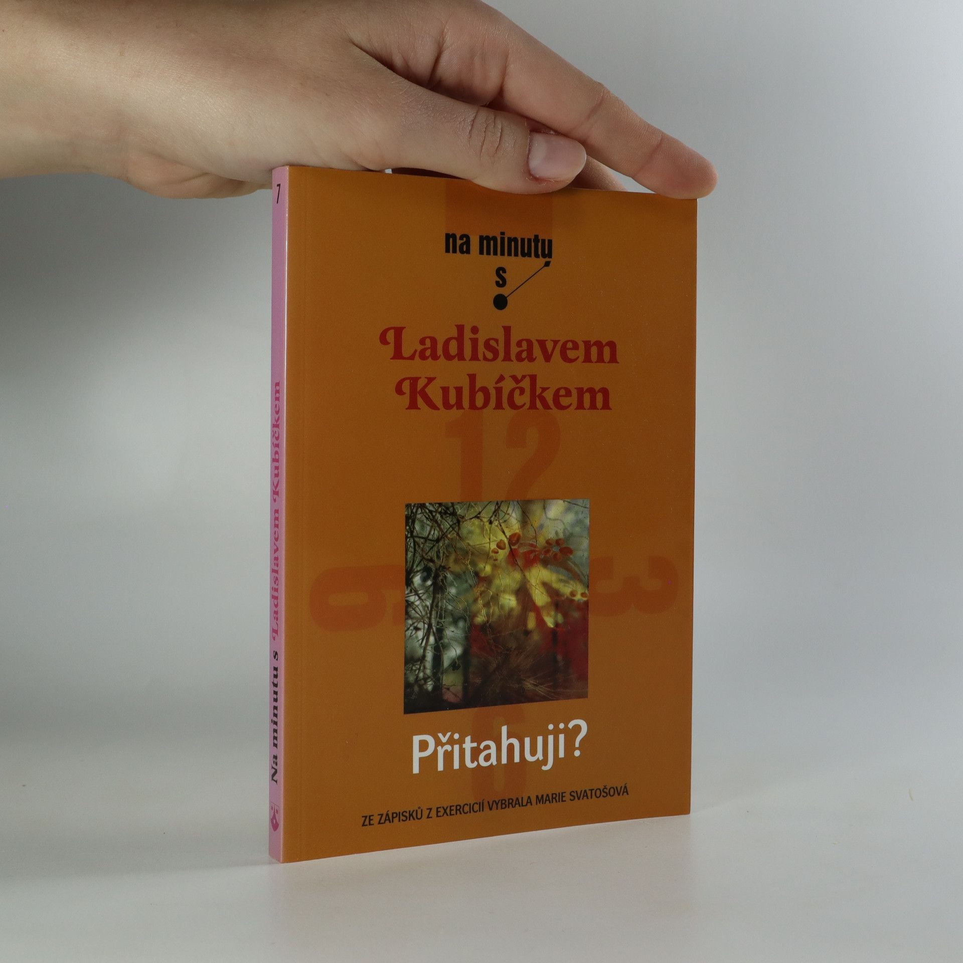 Ladislav Kubíček Přitahuji?