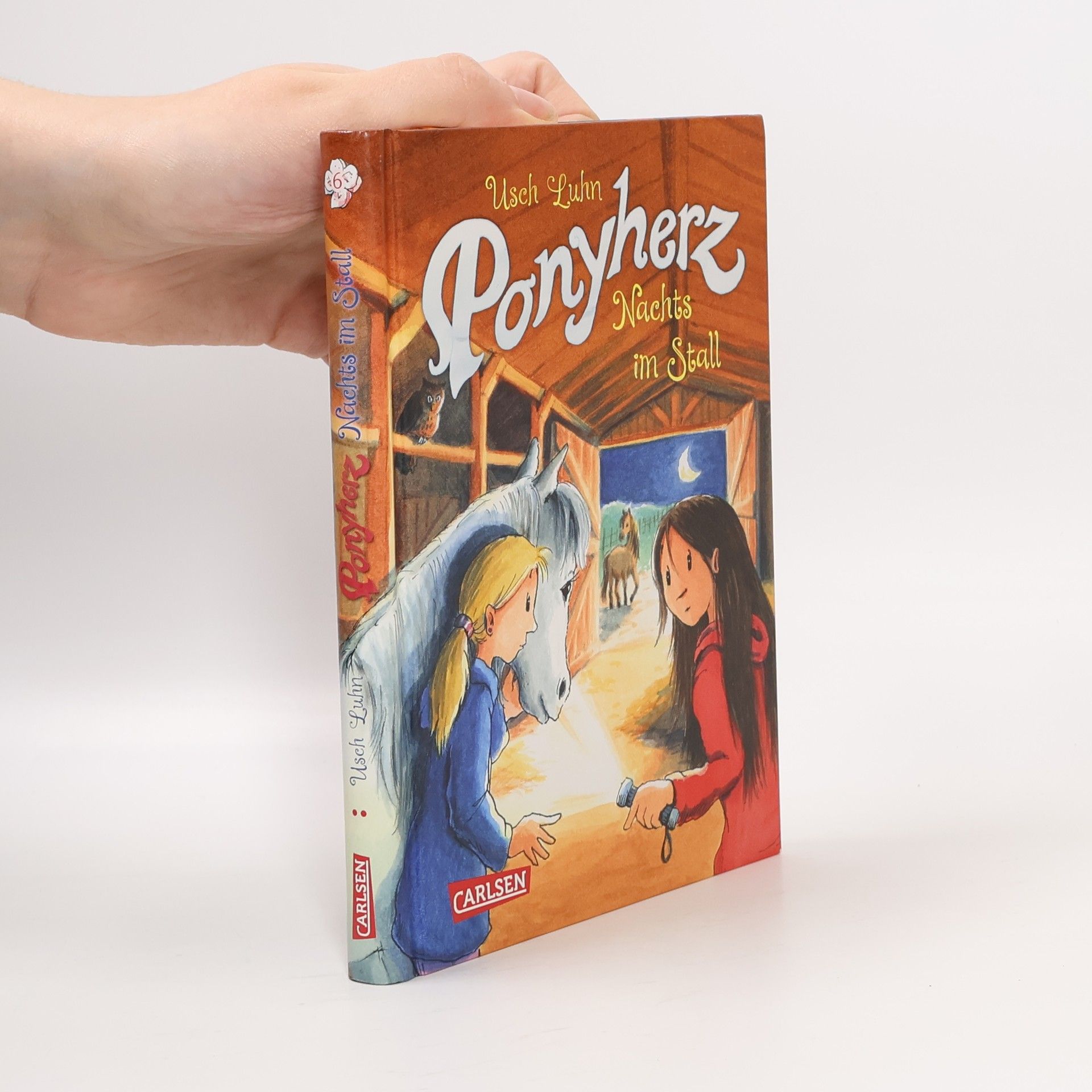 Usch Luhn Ponyherz: Nachts im Stall