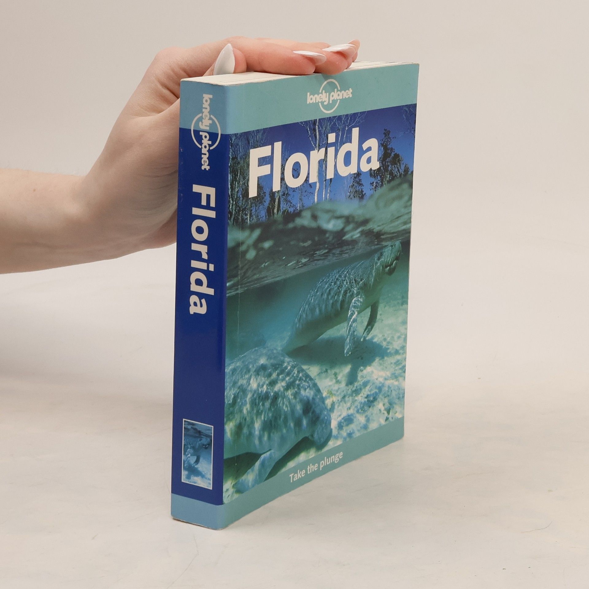 Corinna Selby Florida