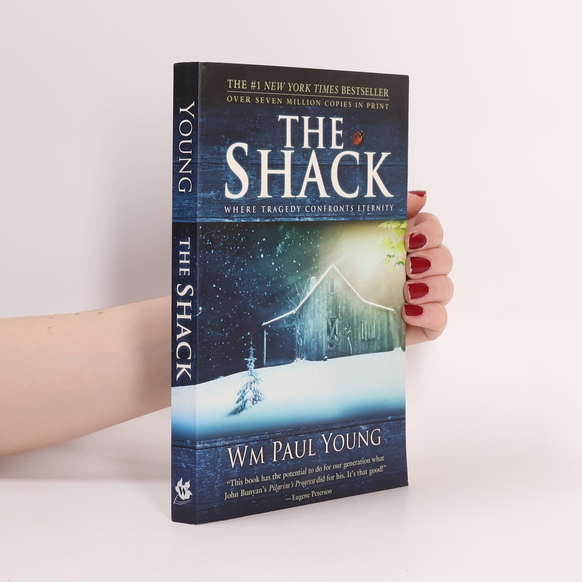 William P. Young The Shack