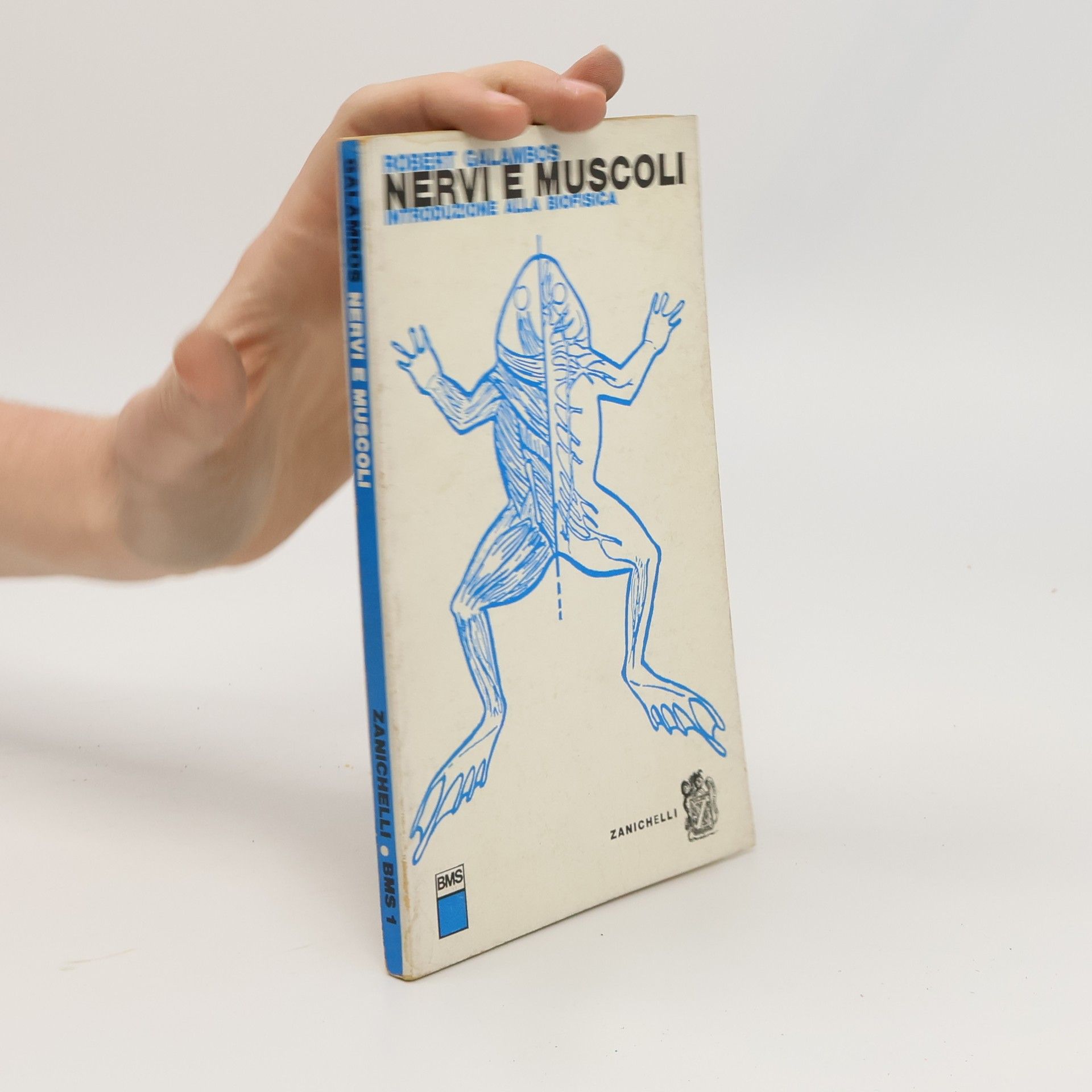 Robert Galawecis Nervi e muscoli