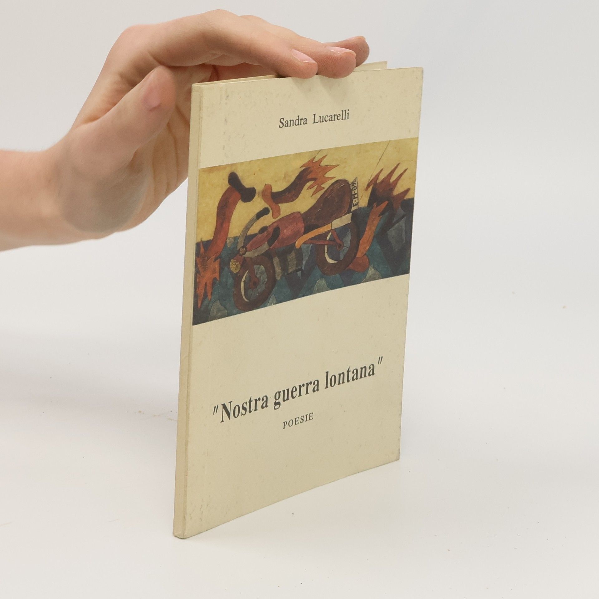 Sandra Lucarelli Nostra guerra lontana