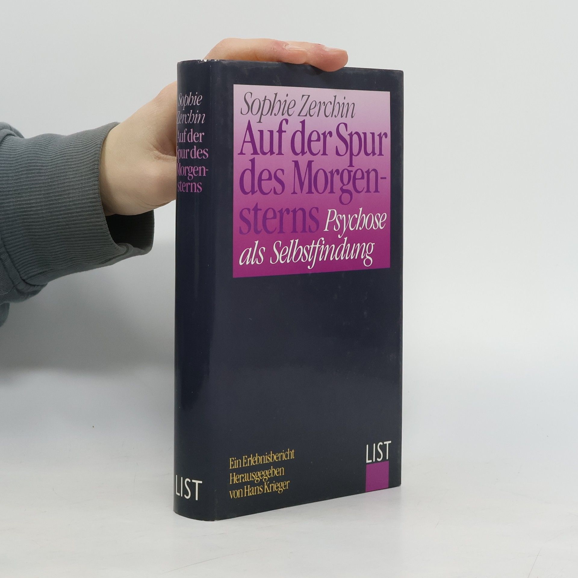 Sophie Zerchin Auf der Spur des Morgensterns