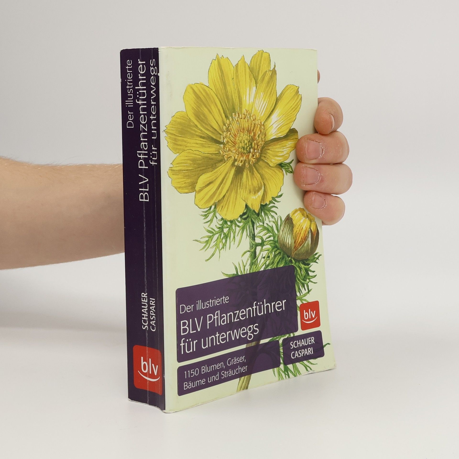 Claus Caspari Der illustrierte BLV Pflanzenführer für unterwegs
