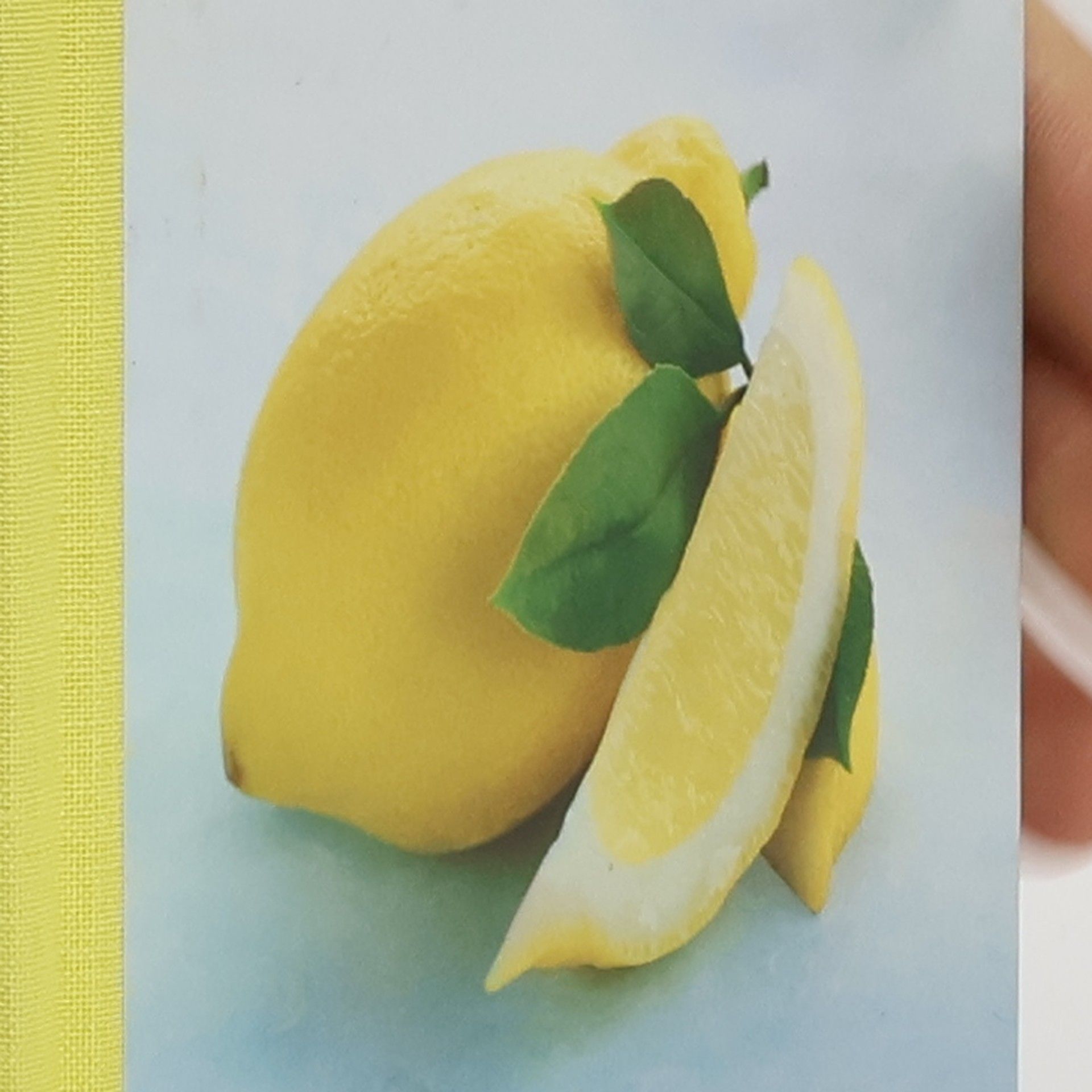 Zitronen - herzhaft und süß