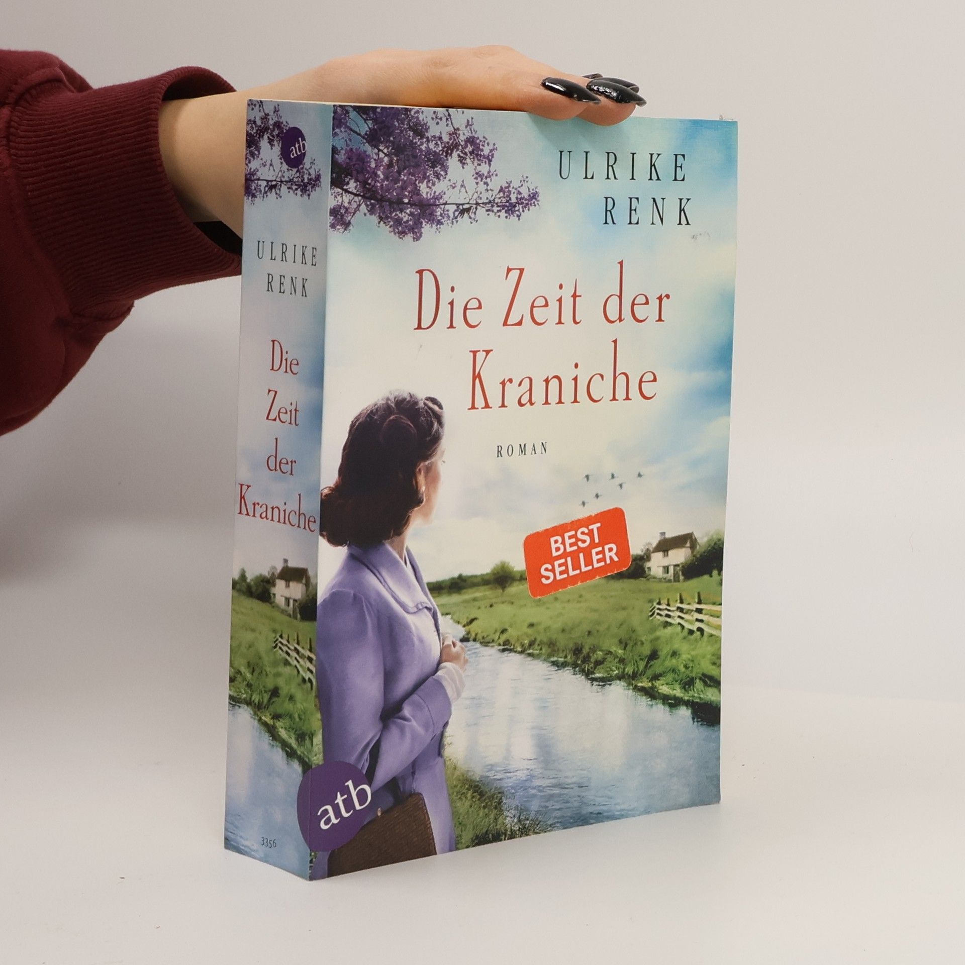 Ulrike Renk Die Zeit der Kraniche