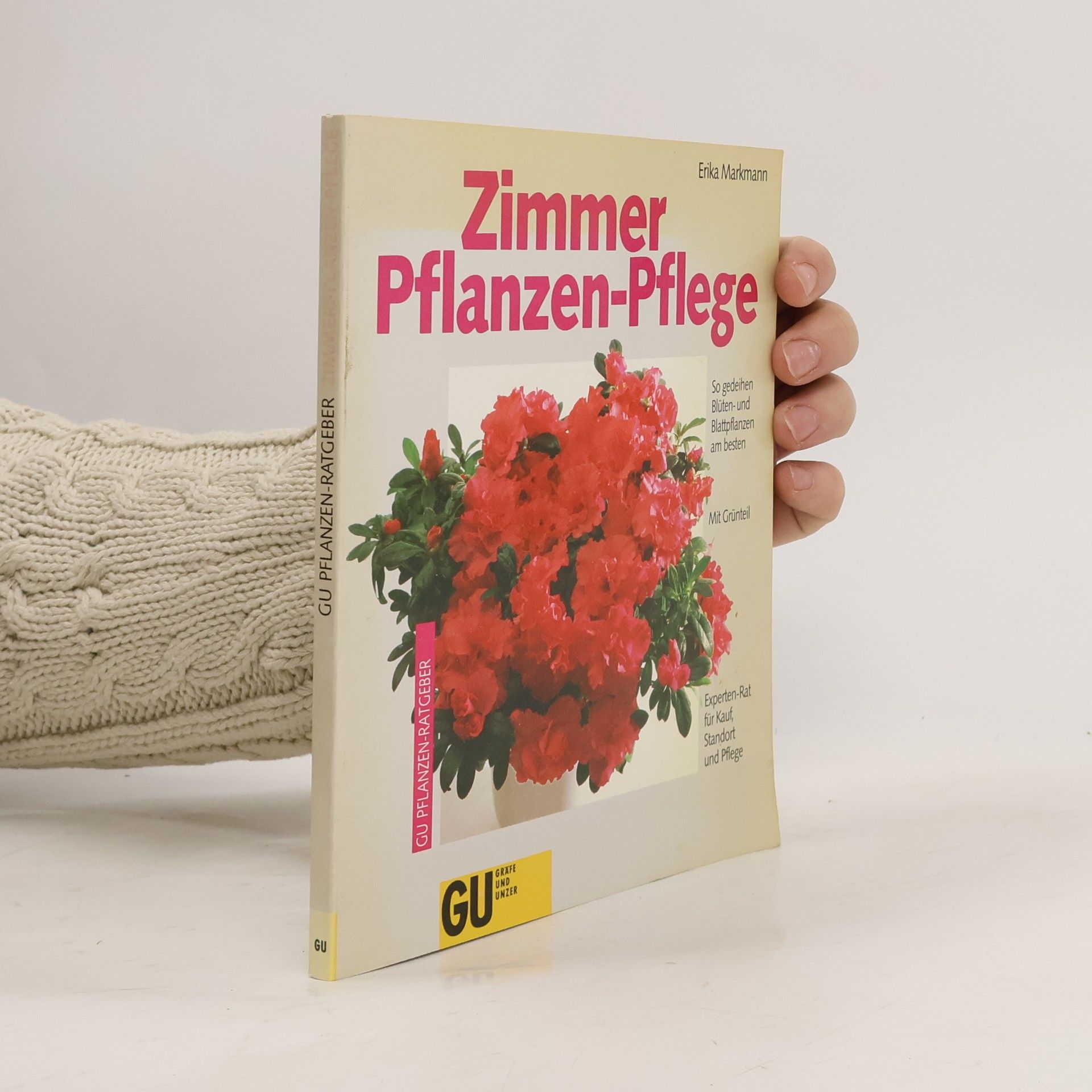 Zimmerpflanzen-Pflege