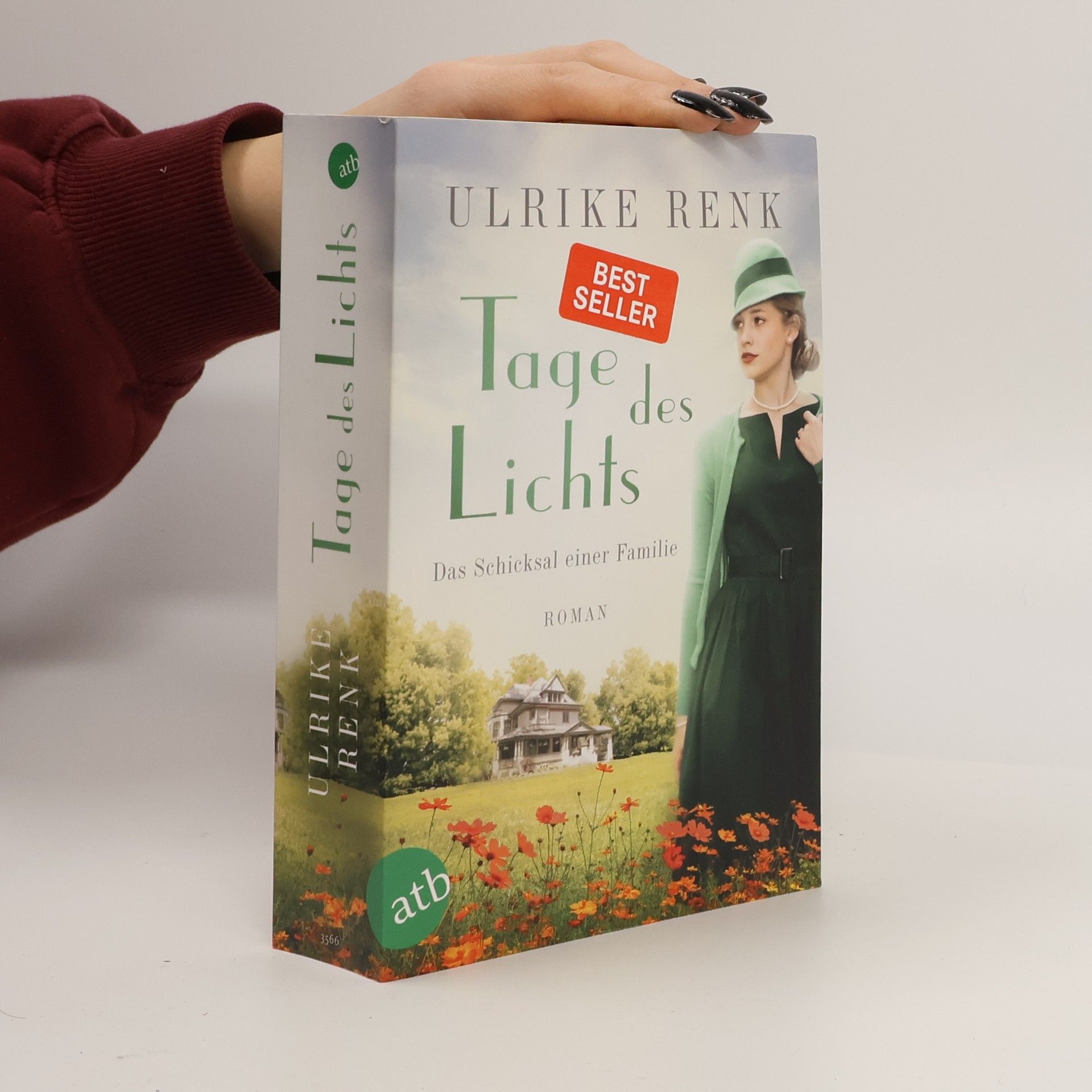 Ulrike Renk Tage des Lichts