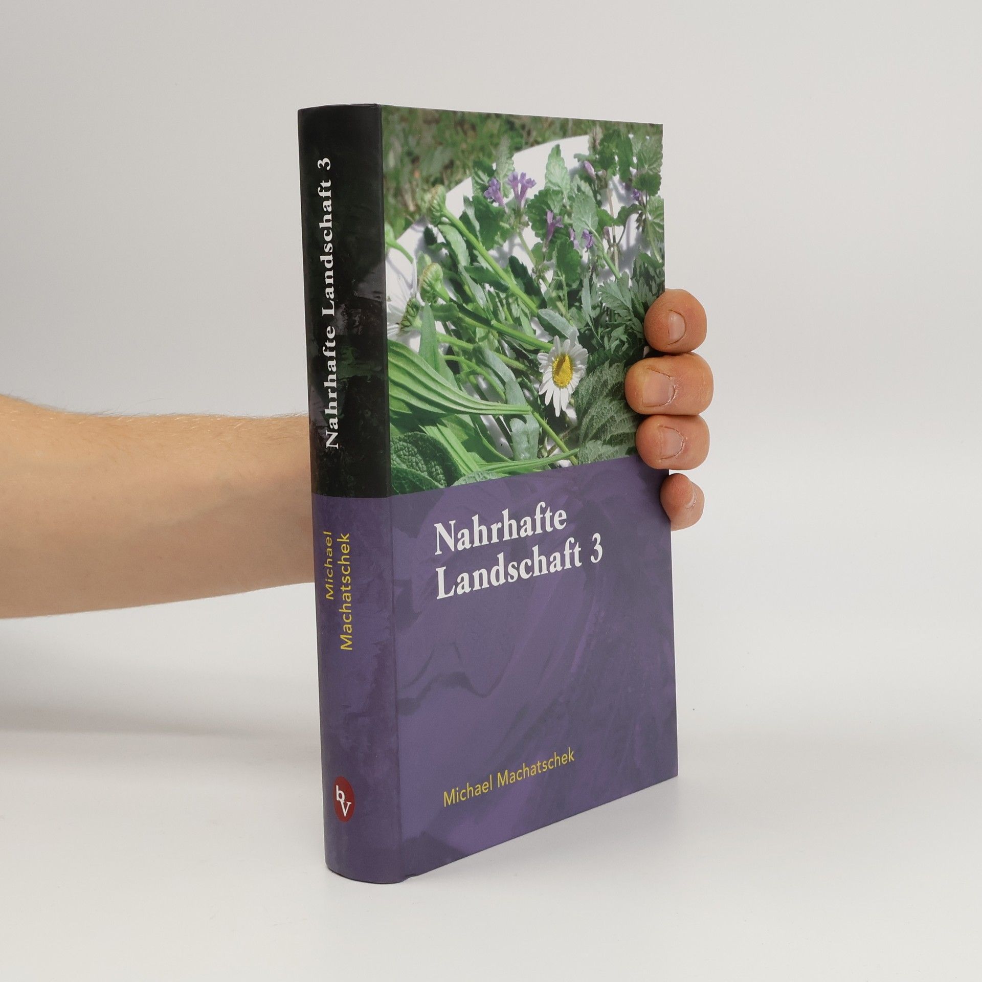 Nahrhafte Landschaft 3