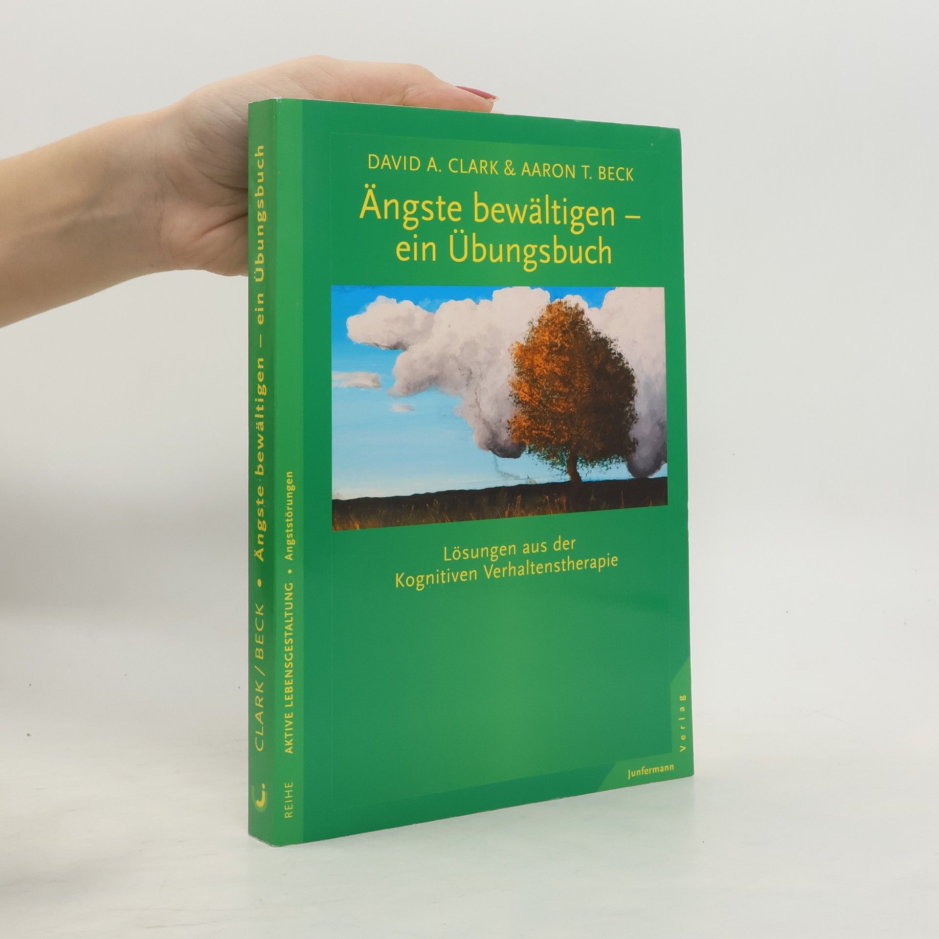 David A. Clark Ängste bewältigen - ein Übungsbuch
