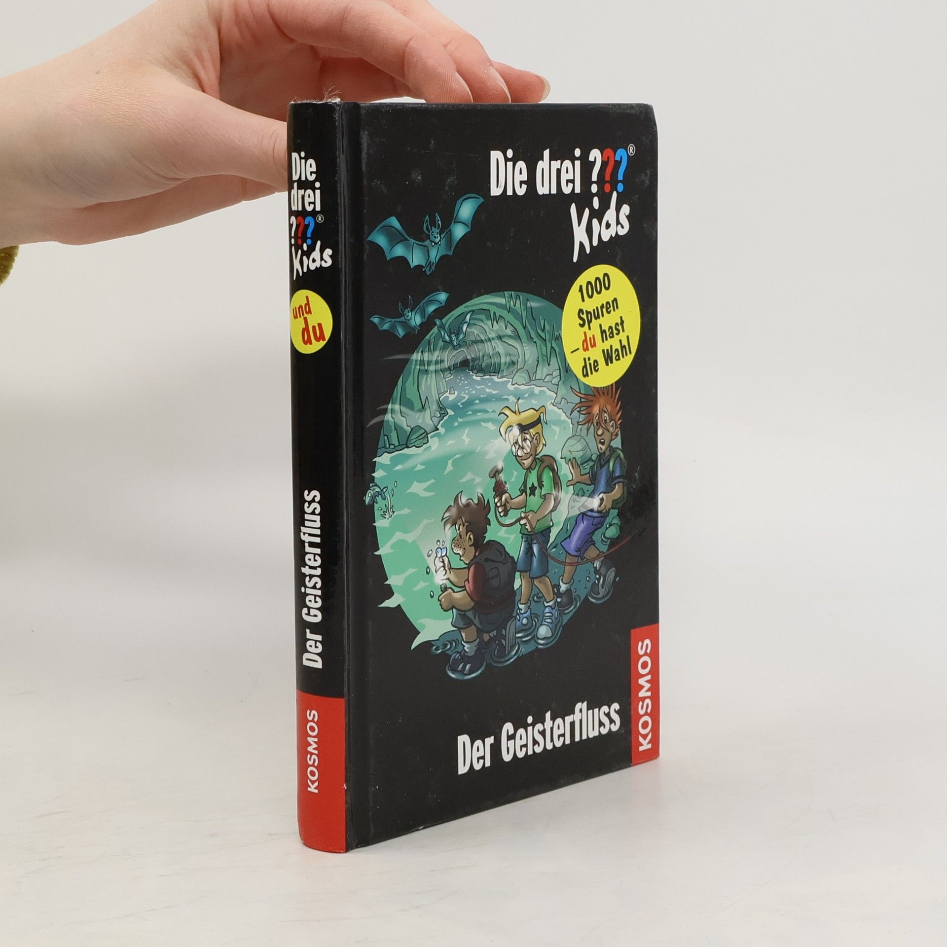 Boris Pfeiffer Der Geisterfluss