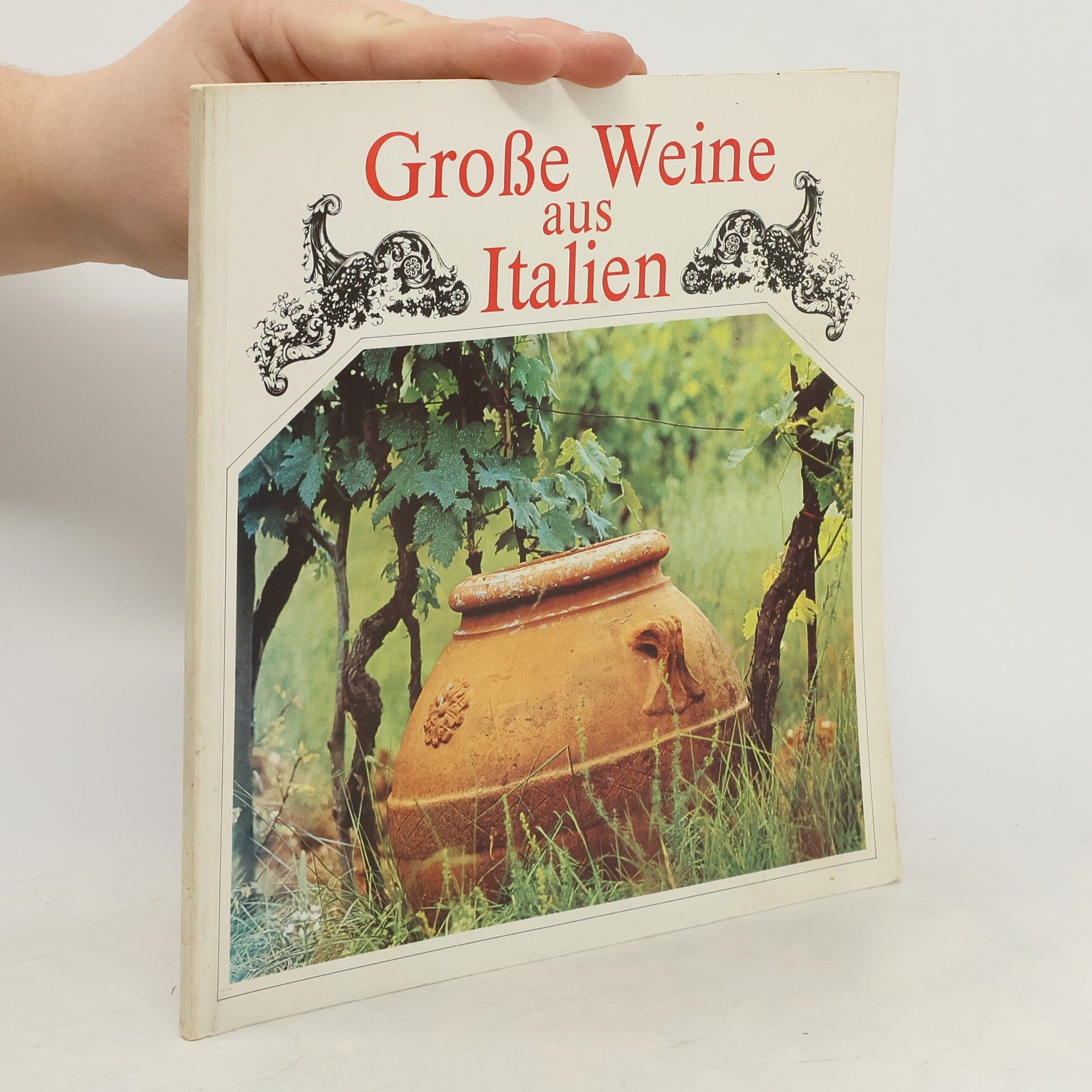 Autorenkollektiv Große Weine aus Italien