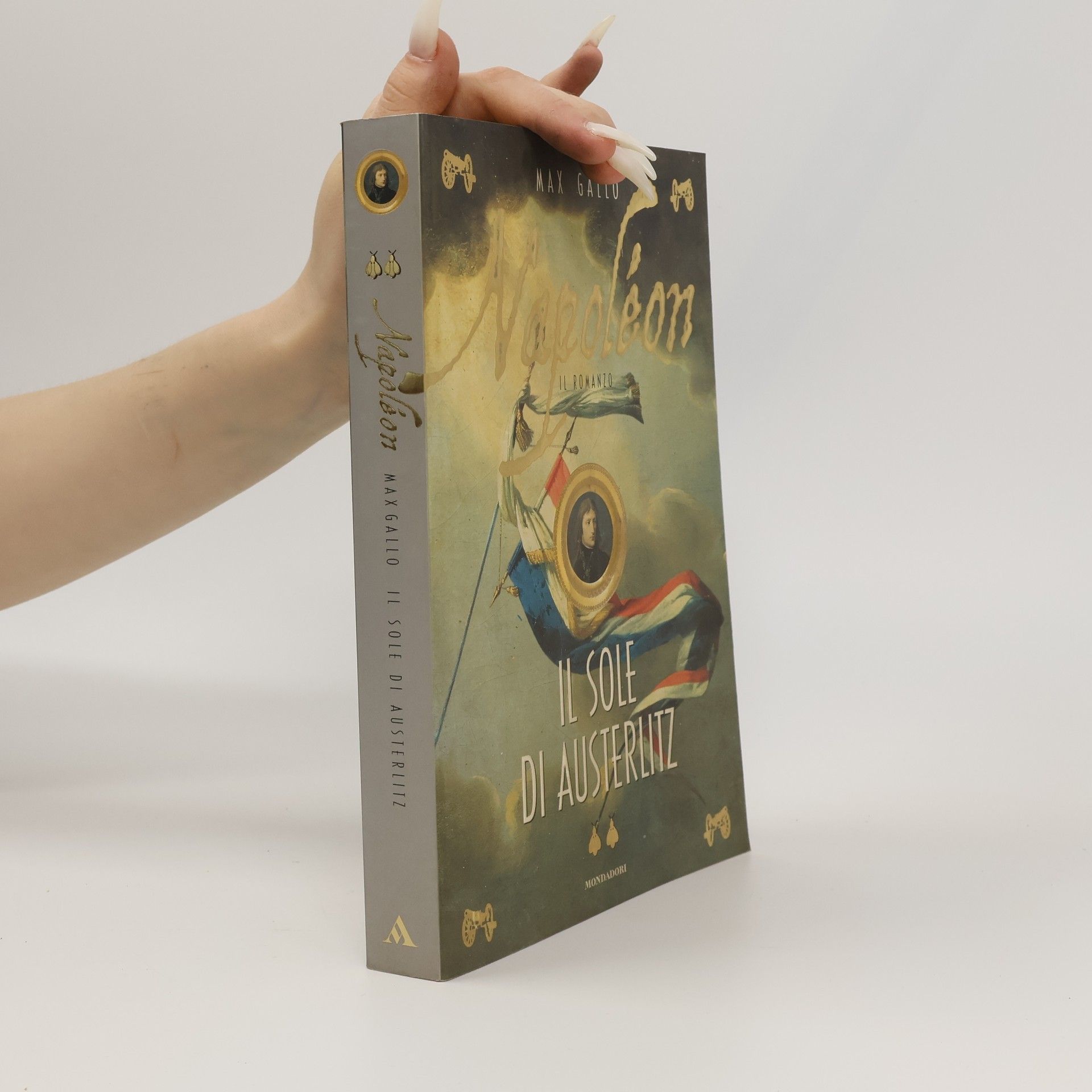 Max Gallo Il sole di Austerlitz