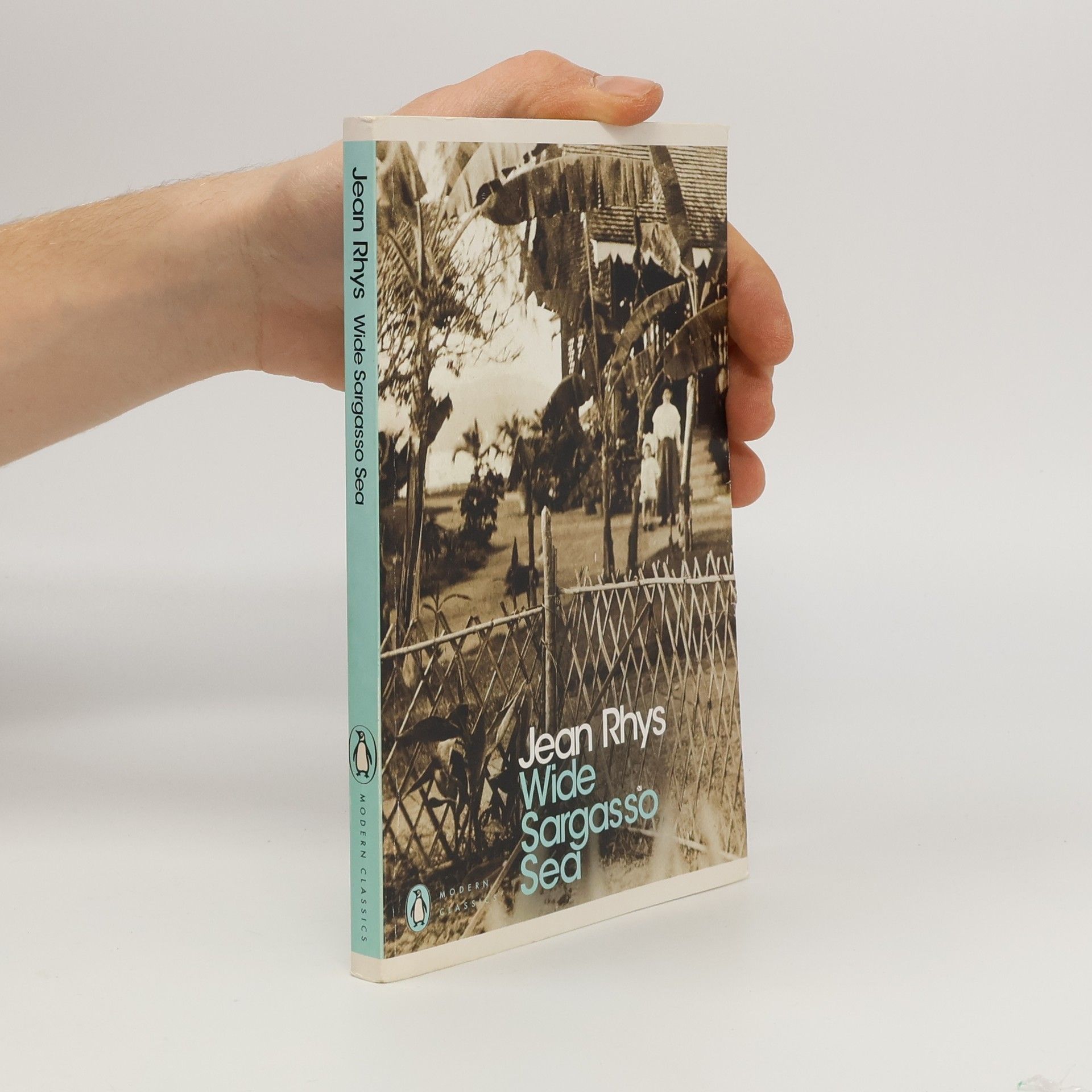 Jean Rhys Wide Sargasso sea