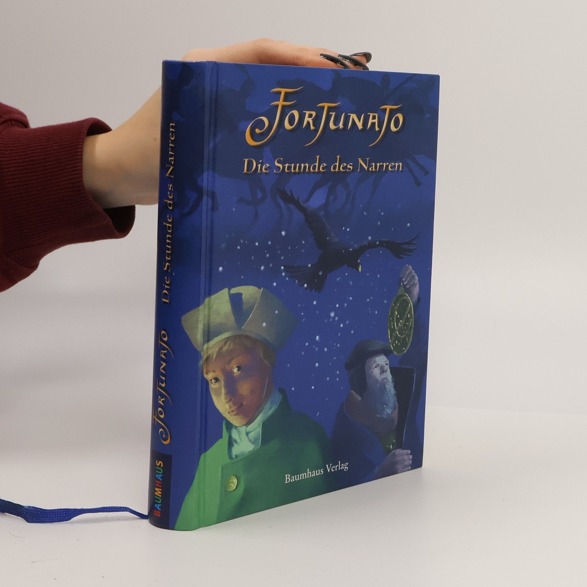 Thomas Montasser Die Stunde des Narren