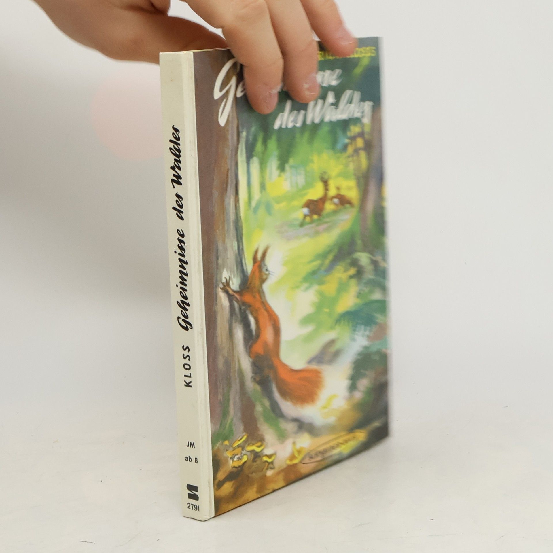 Erich Kloss Geheimnisse des Waldes